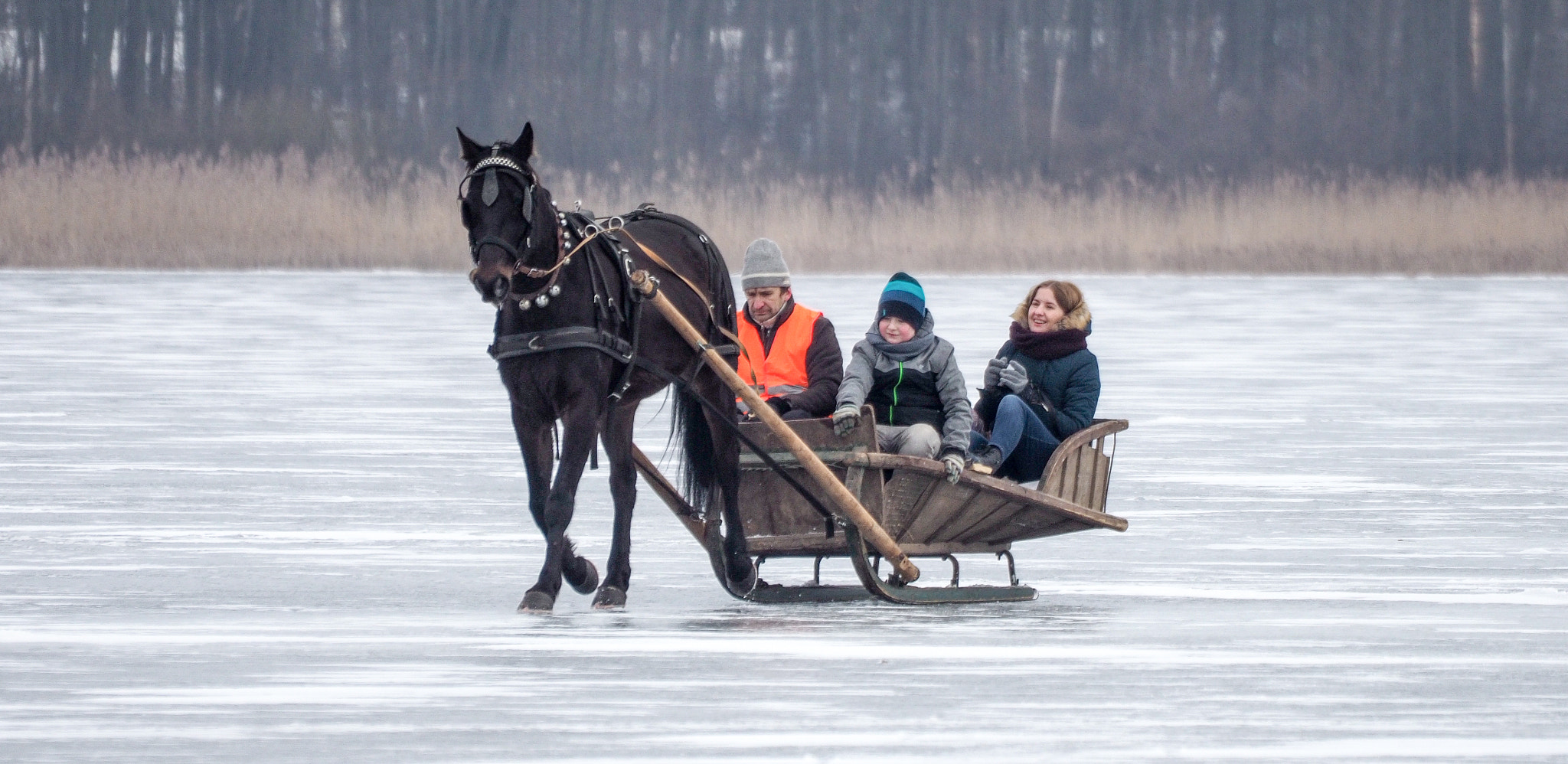 Olympus Zuiko Digital ED 70-300mm F4.0-5.6 sample photo. Horse racing, sartai lithuania photography