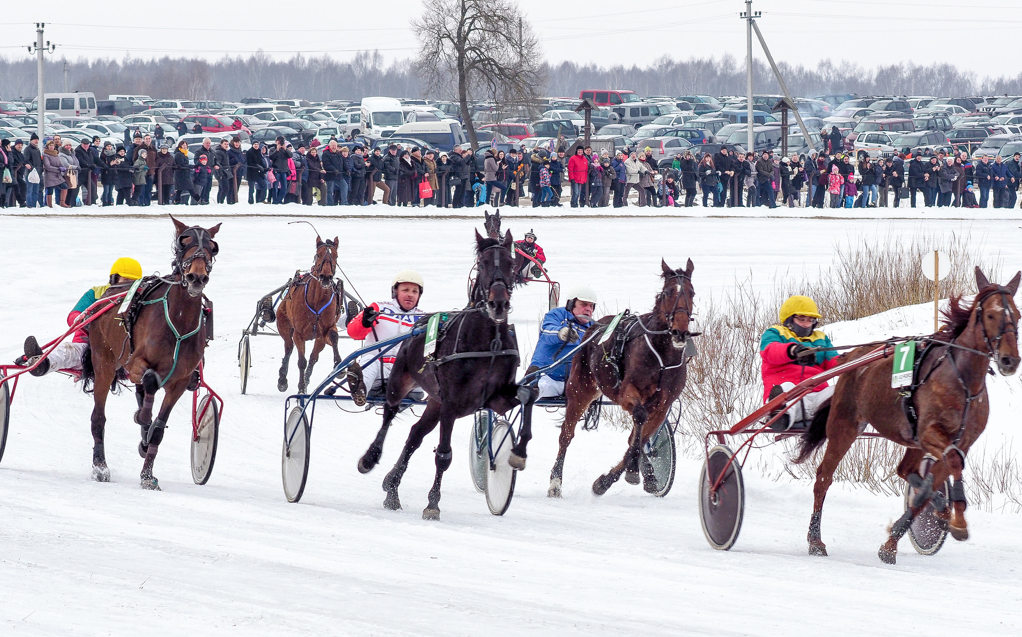 Olympus Zuiko Digital ED 70-300mm F4.0-5.6 sample photo. Horse racing, sartai lithuania photography