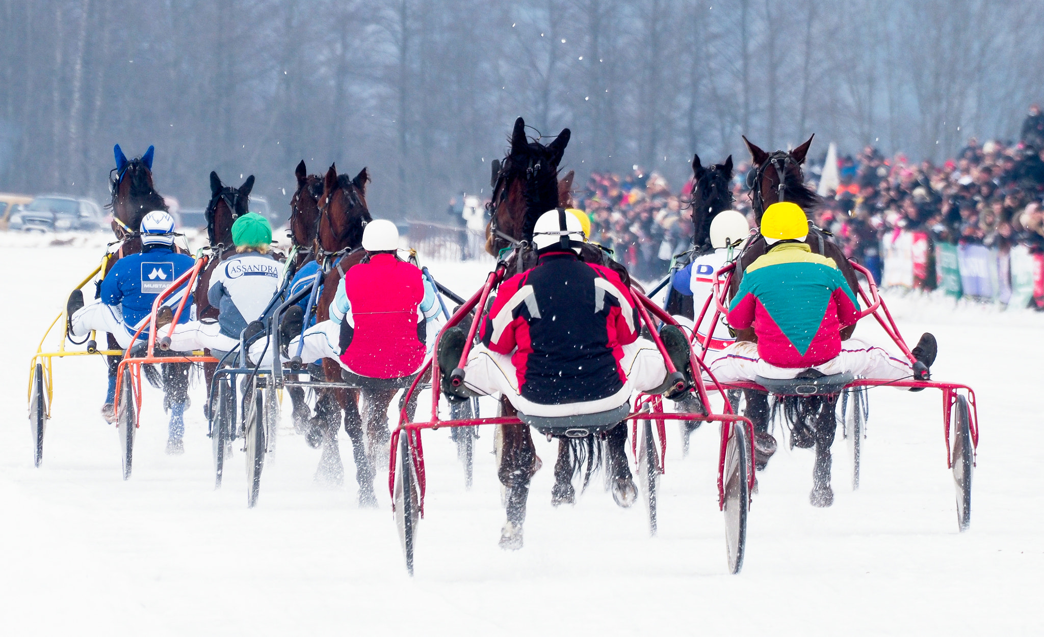 Olympus Zuiko Digital ED 70-300mm F4.0-5.6 sample photo. Horse racing, sartai lithuania photography