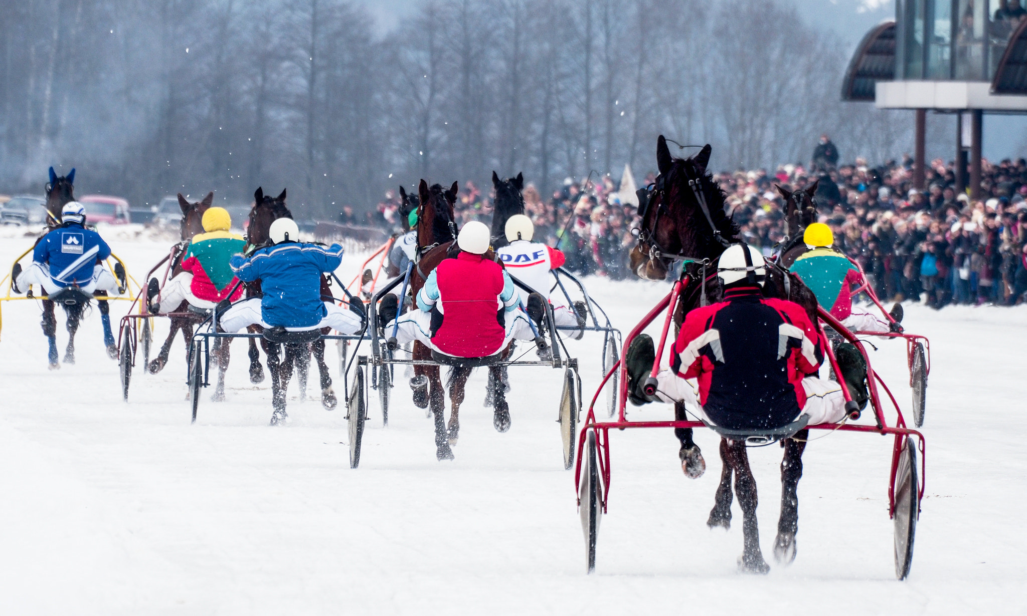 Olympus Zuiko Digital ED 70-300mm F4.0-5.6 sample photo. Horse racing, sartai lithuania photography