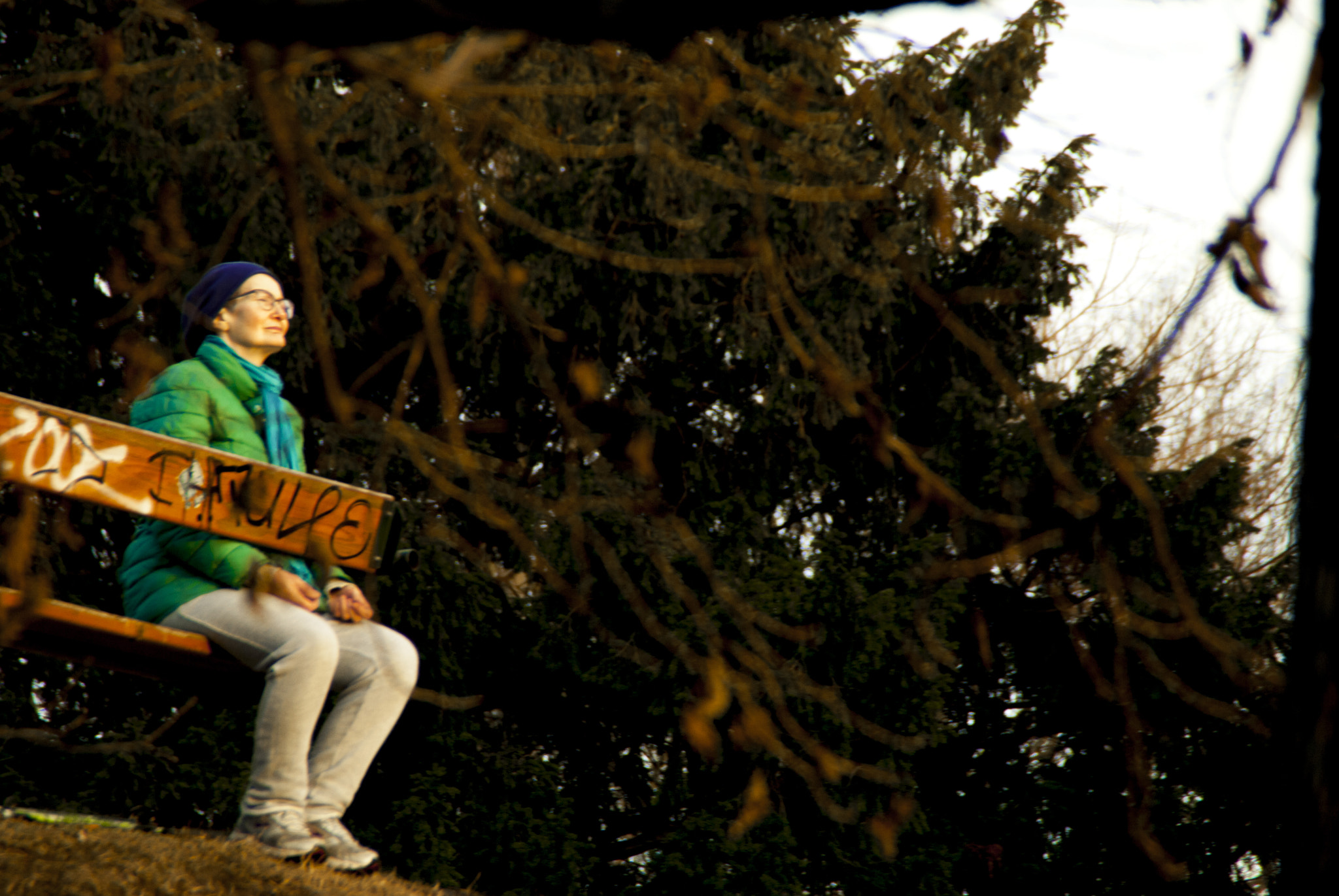 Nikon D80 sample photo. A little sunlight for the soul photography