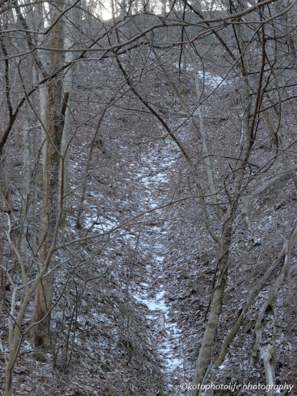 Fujifilm X-T1 + Fujifilm XF 50-140mm F2.8 R LM OIS WR sample photo. 「道」 2017 photography