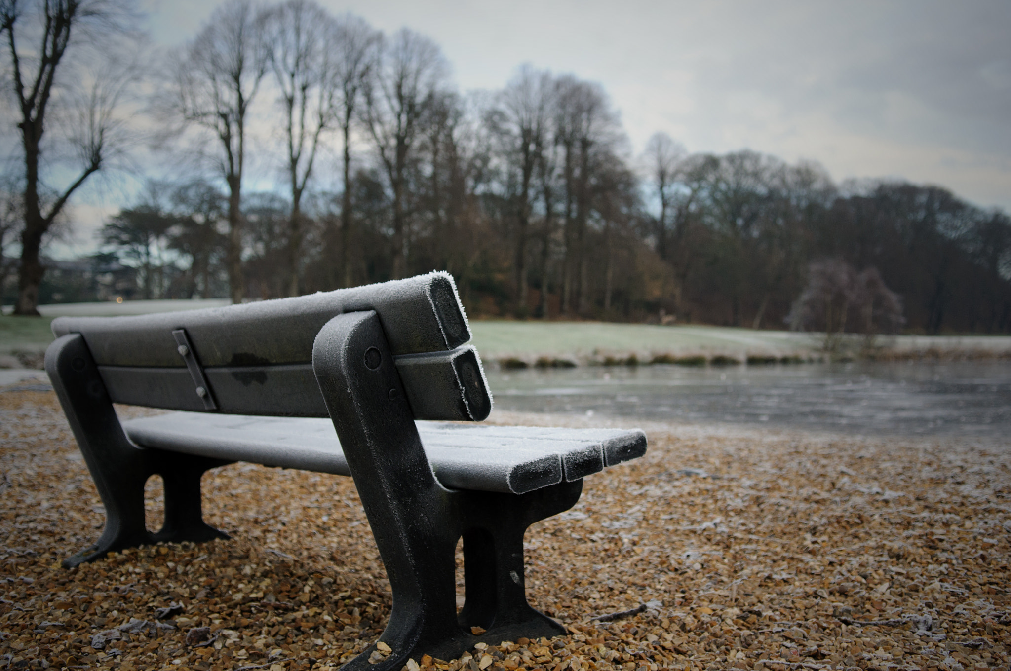 Nikon D300S sample photo. Parkbench photography