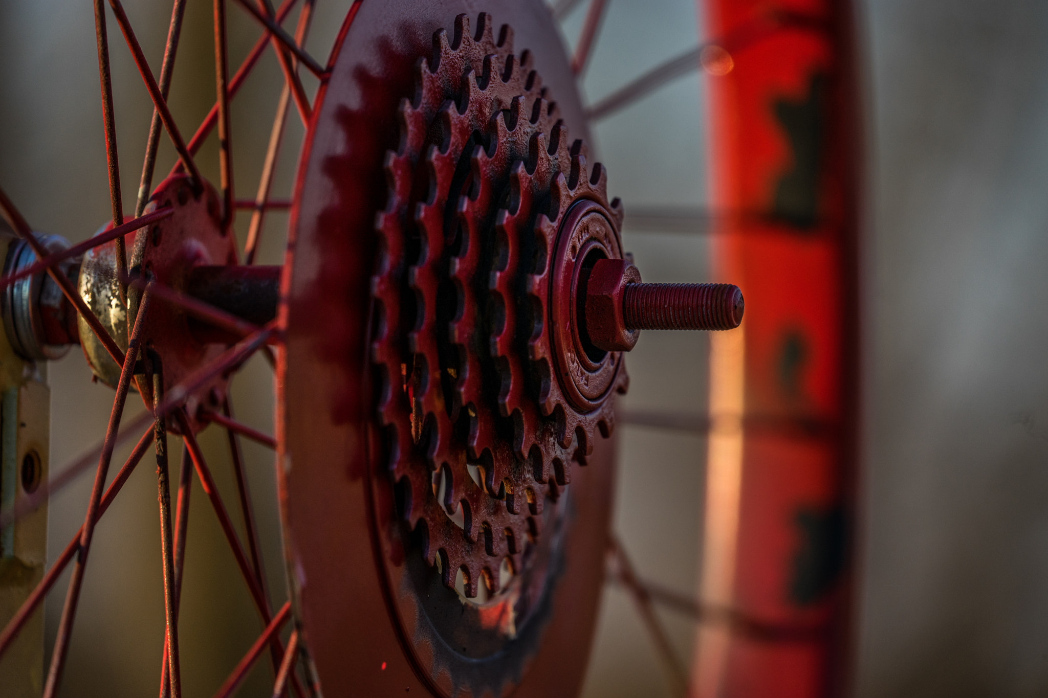 Sony FE 70-300mm F4.5-5.6 G OSS sample photo. Red sun photography