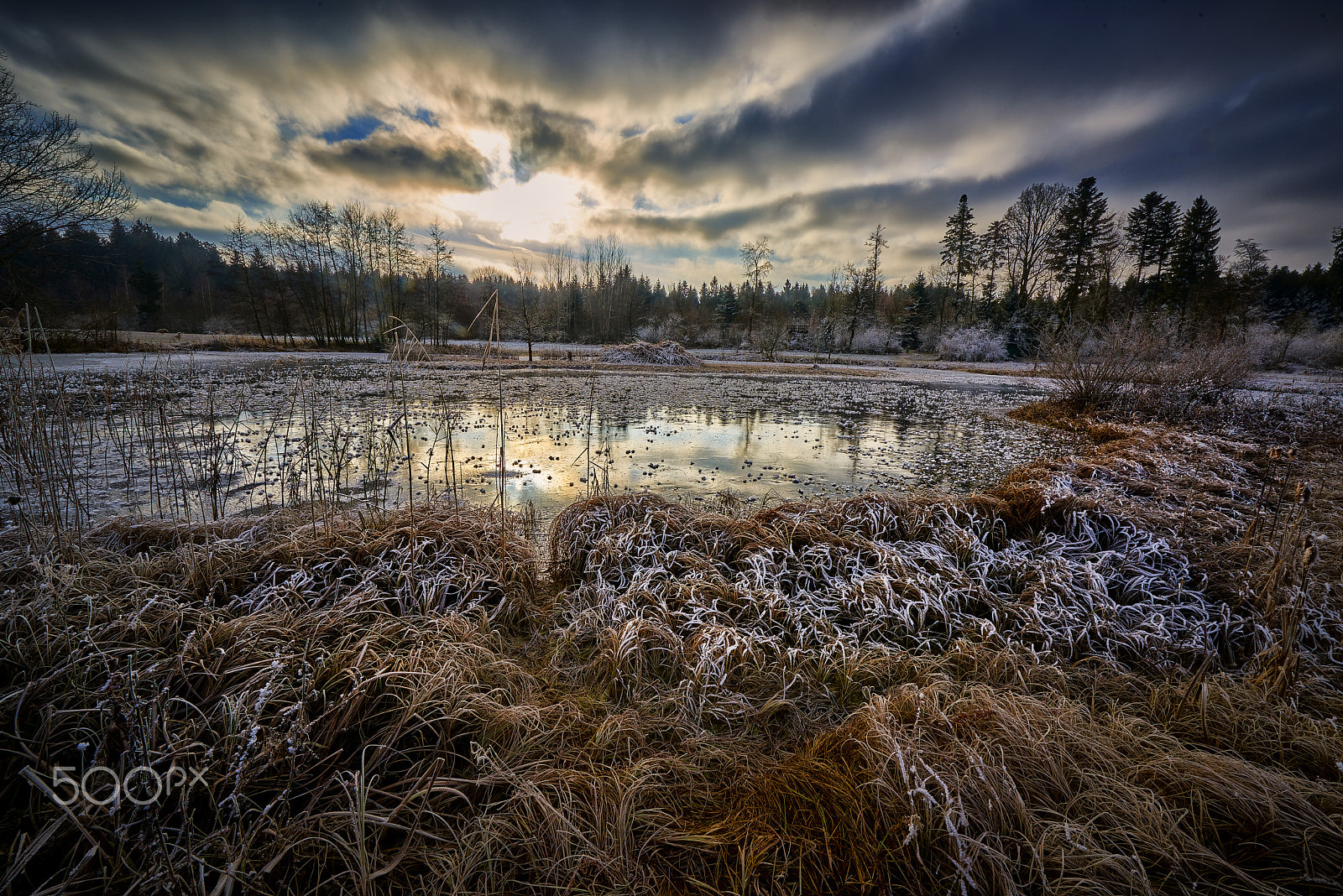 Nikon AF-S Nikkor 14-24mm F2.8G ED sample photo. Vogelmoos 2. januar 2017 photography