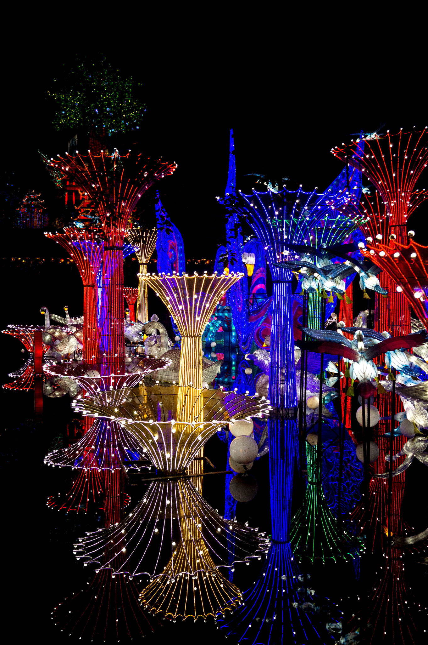 Sony SLT-A37 sample photo. Lantern show photography