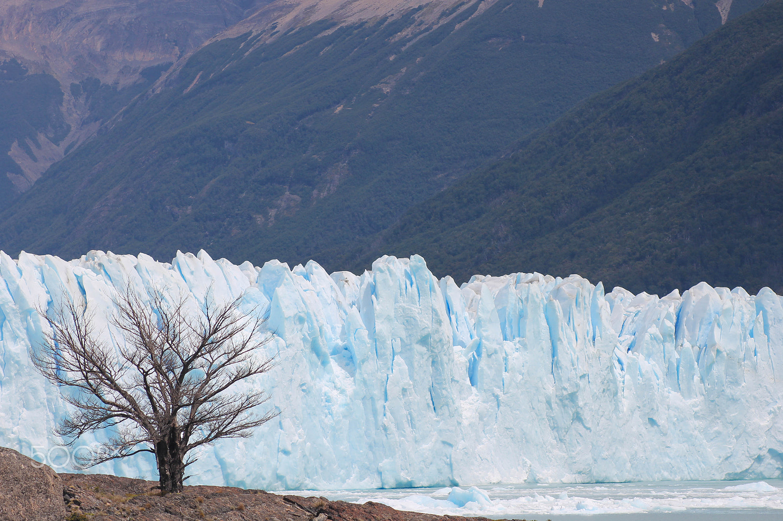 Canon EOS 1100D (EOS Rebel T3 / EOS Kiss X50) sample photo. Perito moreno glacier photography