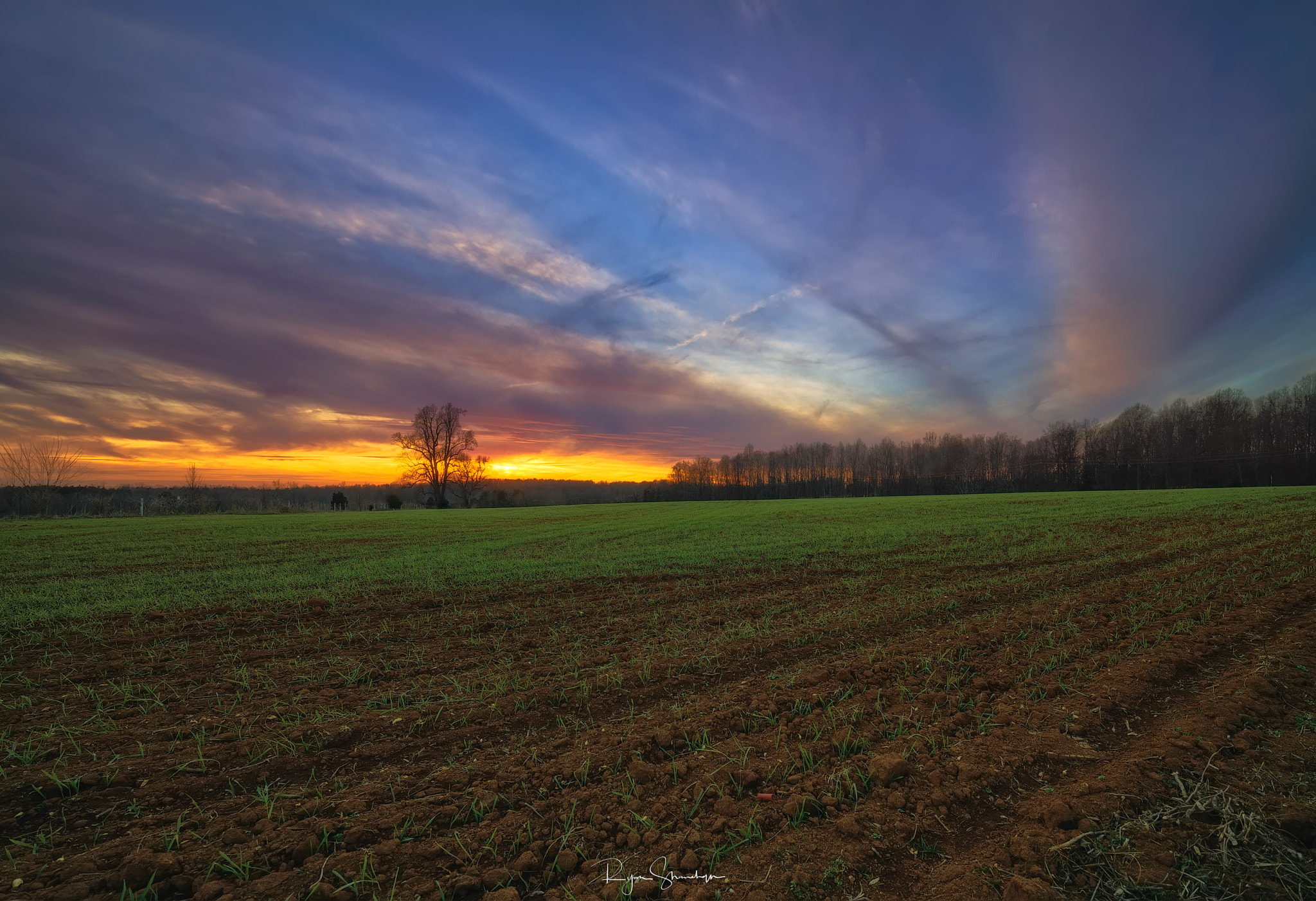 Canon EOS 5DS R sample photo. Heartland iii photography