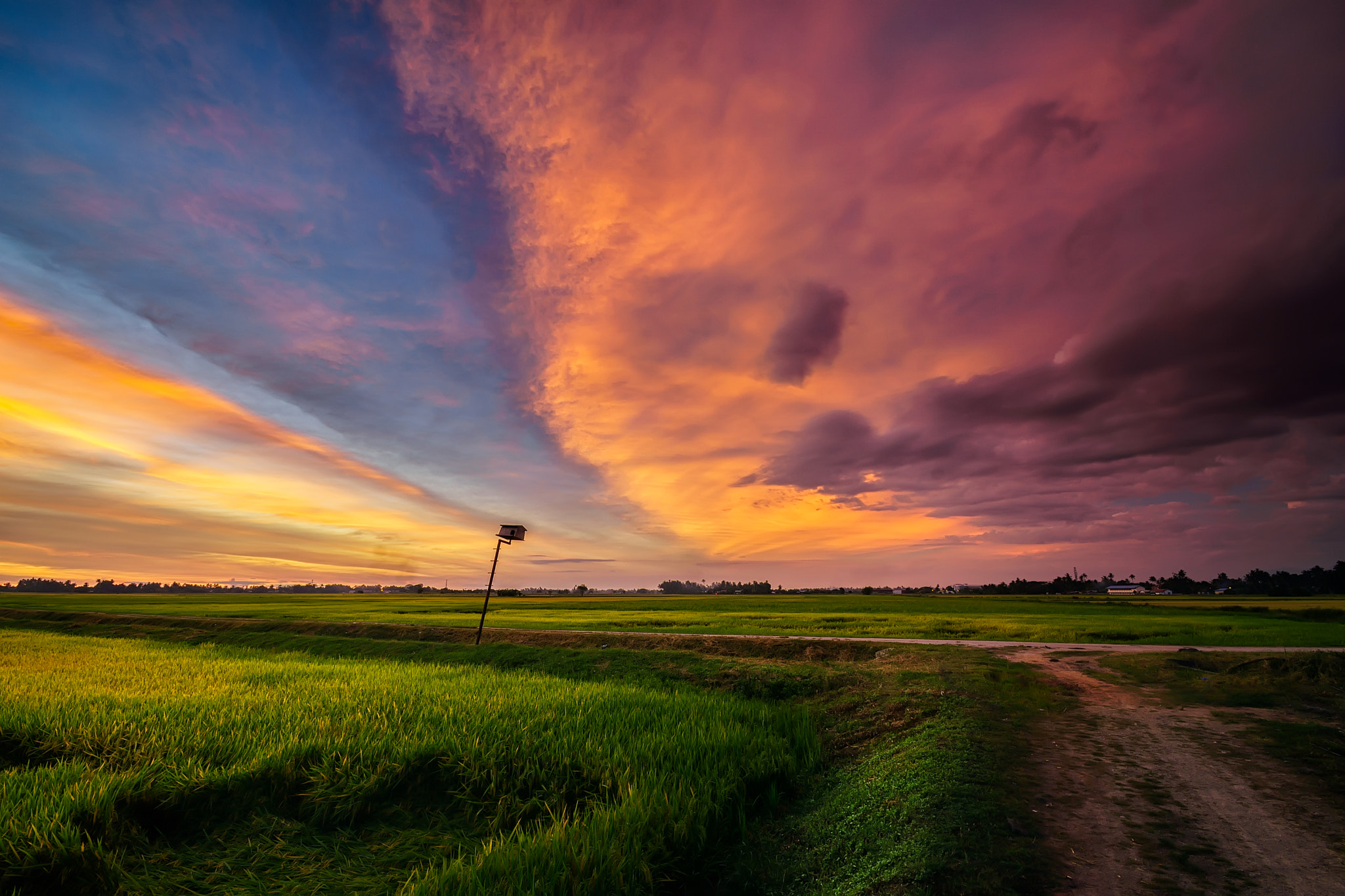 Sony a6000 + Sony DT 50mm F1.8 SAM sample photo. The stream of burning sky photography