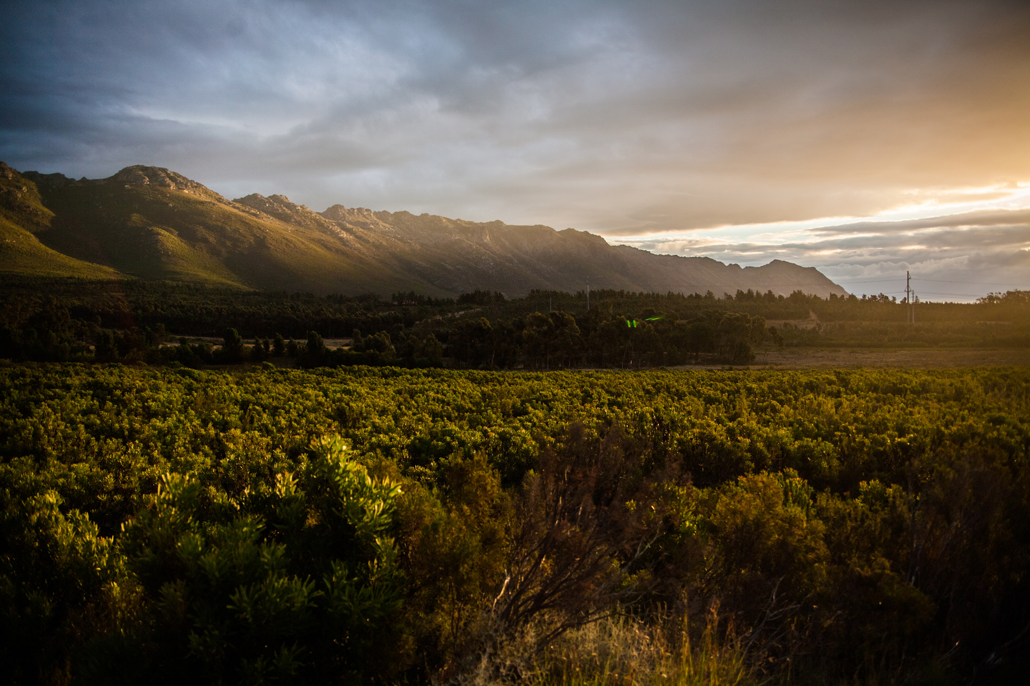 Canon EOS 5D sample photo. Cape town. the mother city photography