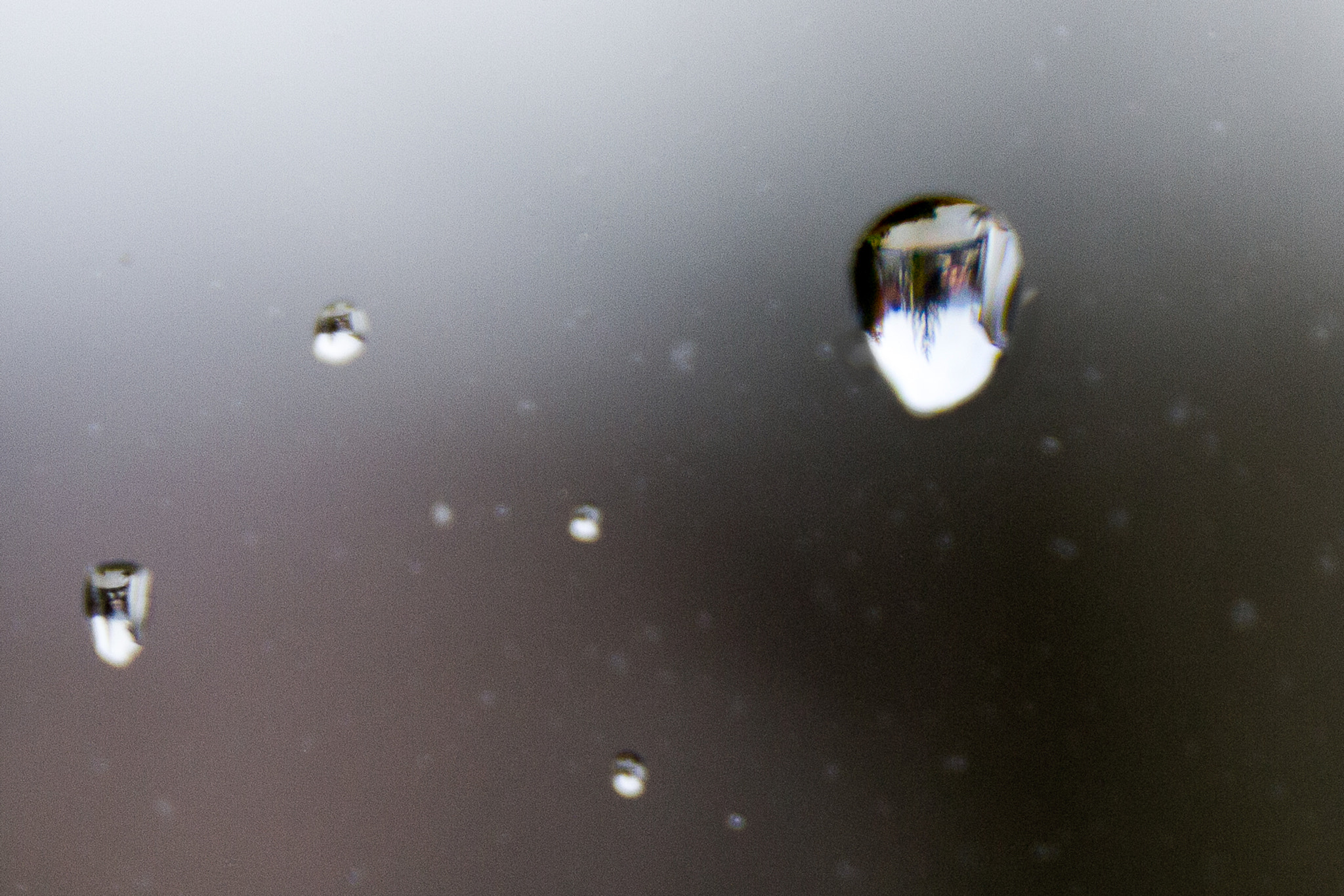 Canon EF 24-70mm F4L IS USM sample photo. Focus in the glass photography