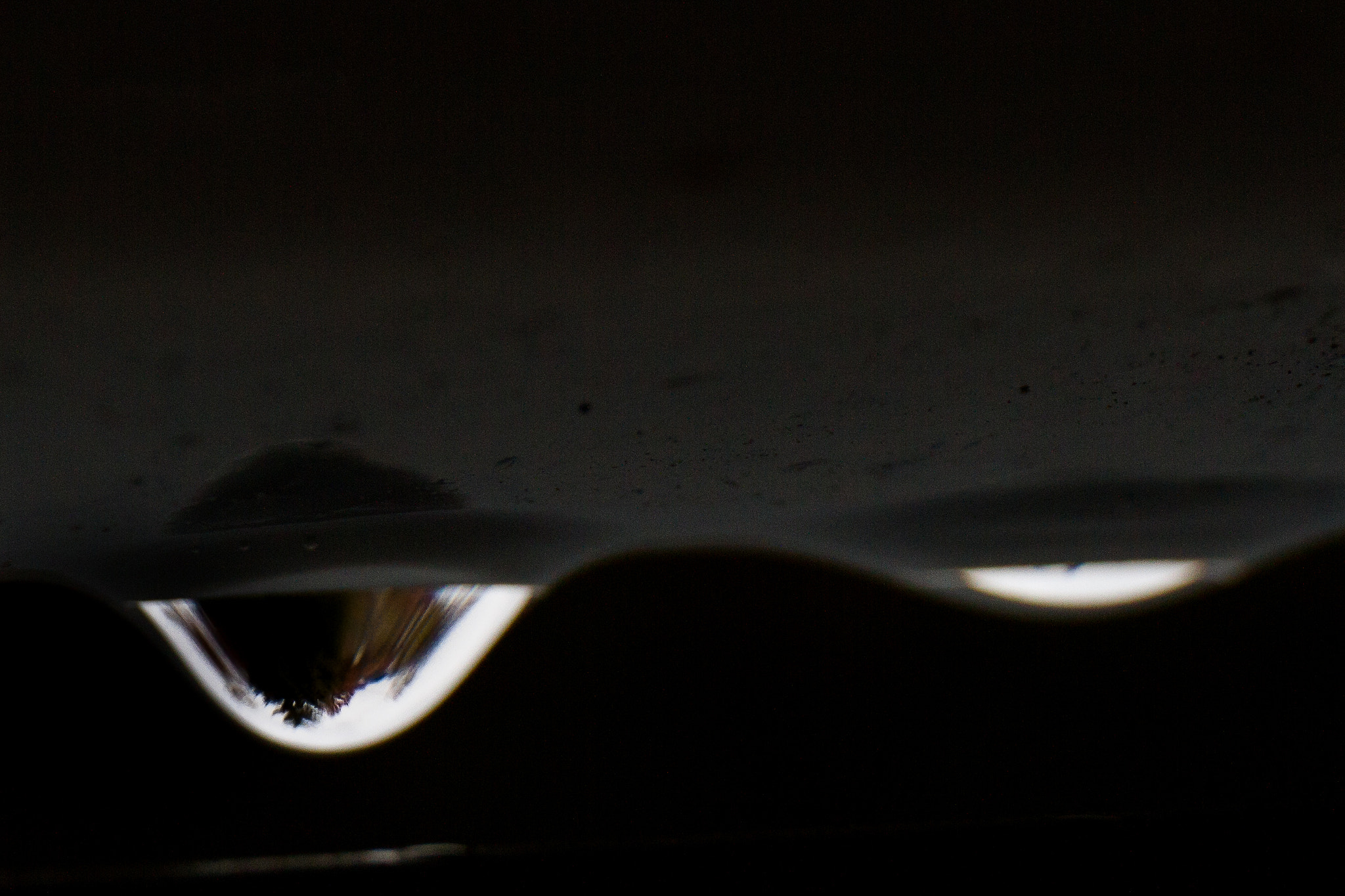 Canon EF 24-70mm F4L IS USM sample photo. Life of a drop photography