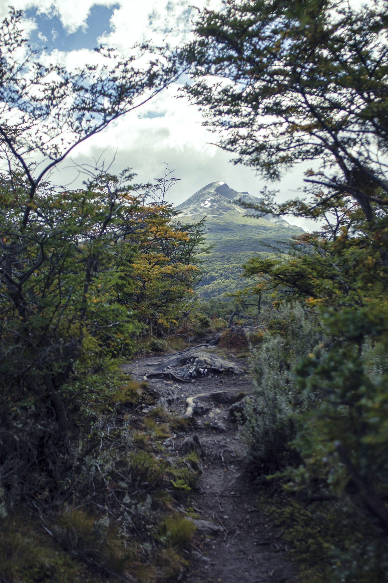 Nikon D3200 + AF Nikkor 28mm f/2.8 sample photo. Ushuaia national park photography