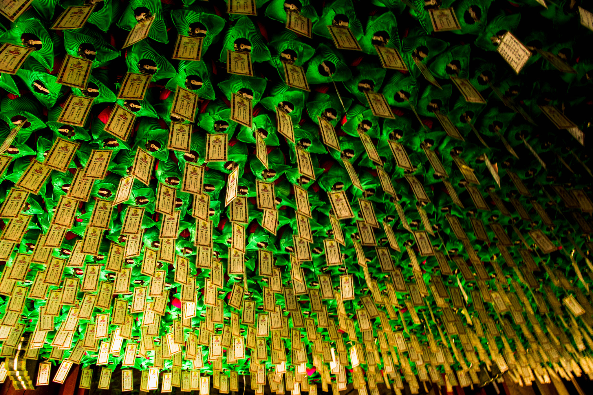 Nikon D500 sample photo. Seokguram internal photography