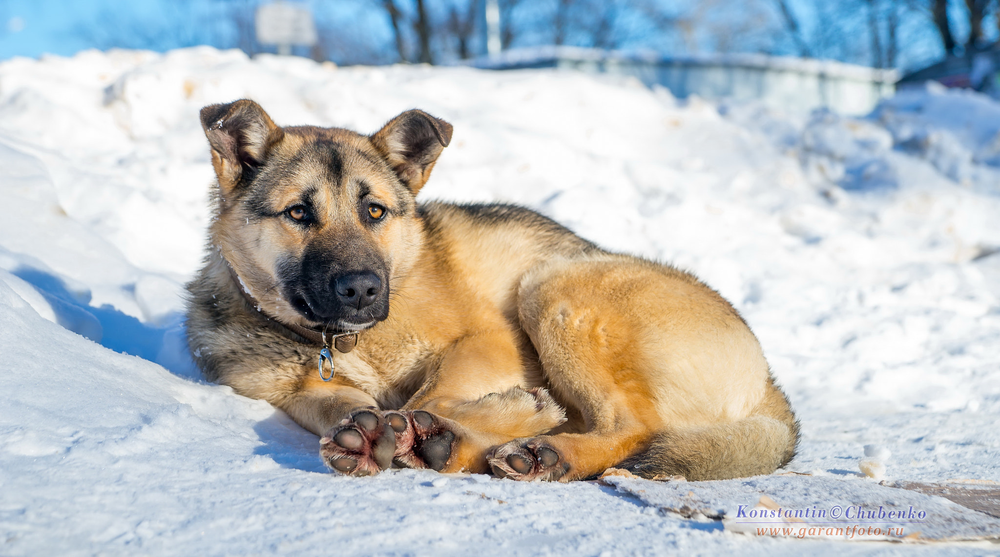 Sony a99 II + Sony 28-75mm F2.8 SAM sample photo. *** photography