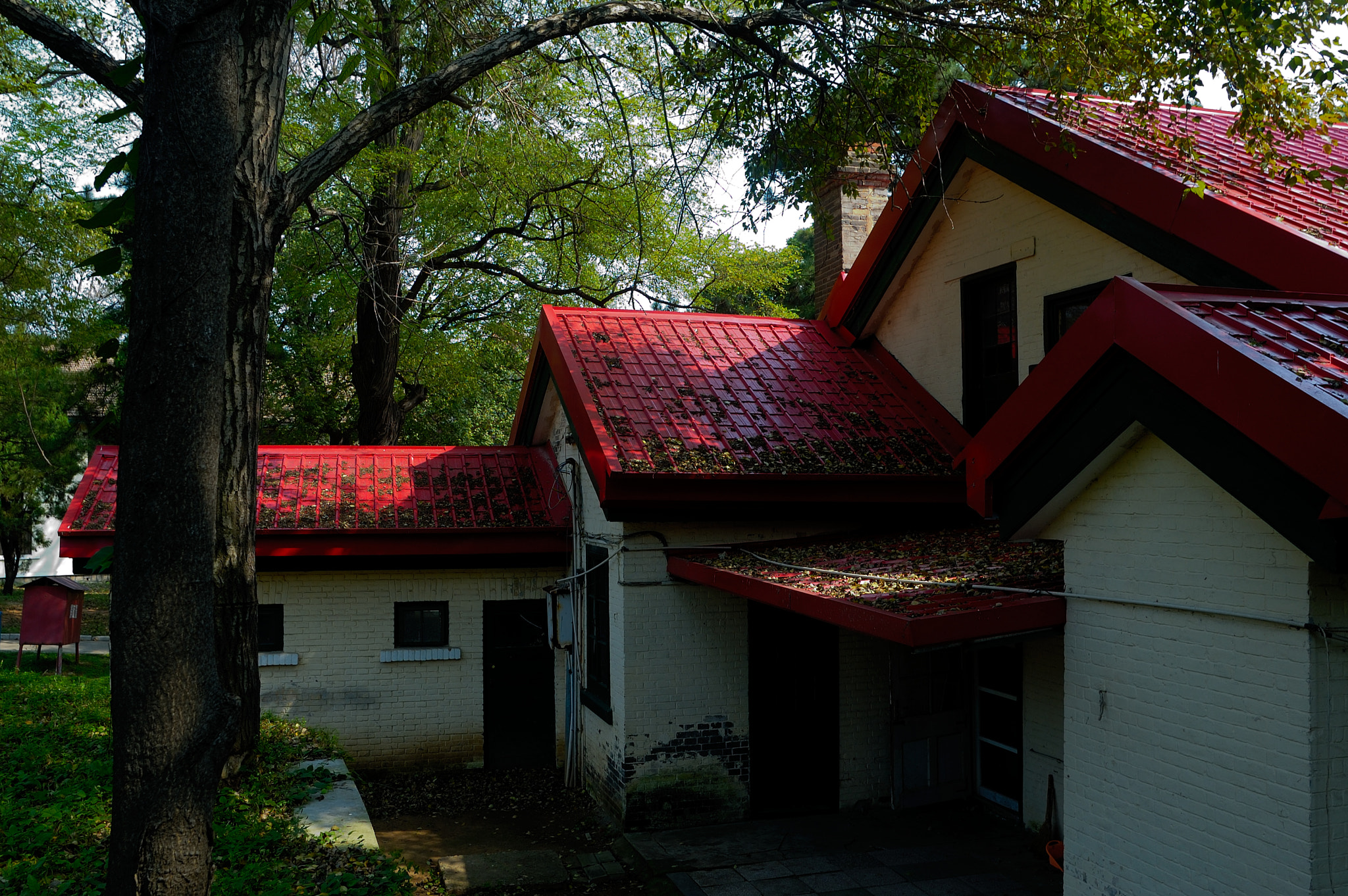 Sigma 20mm F1.8 EX DG Aspherical RF sample photo. 随拍 photography