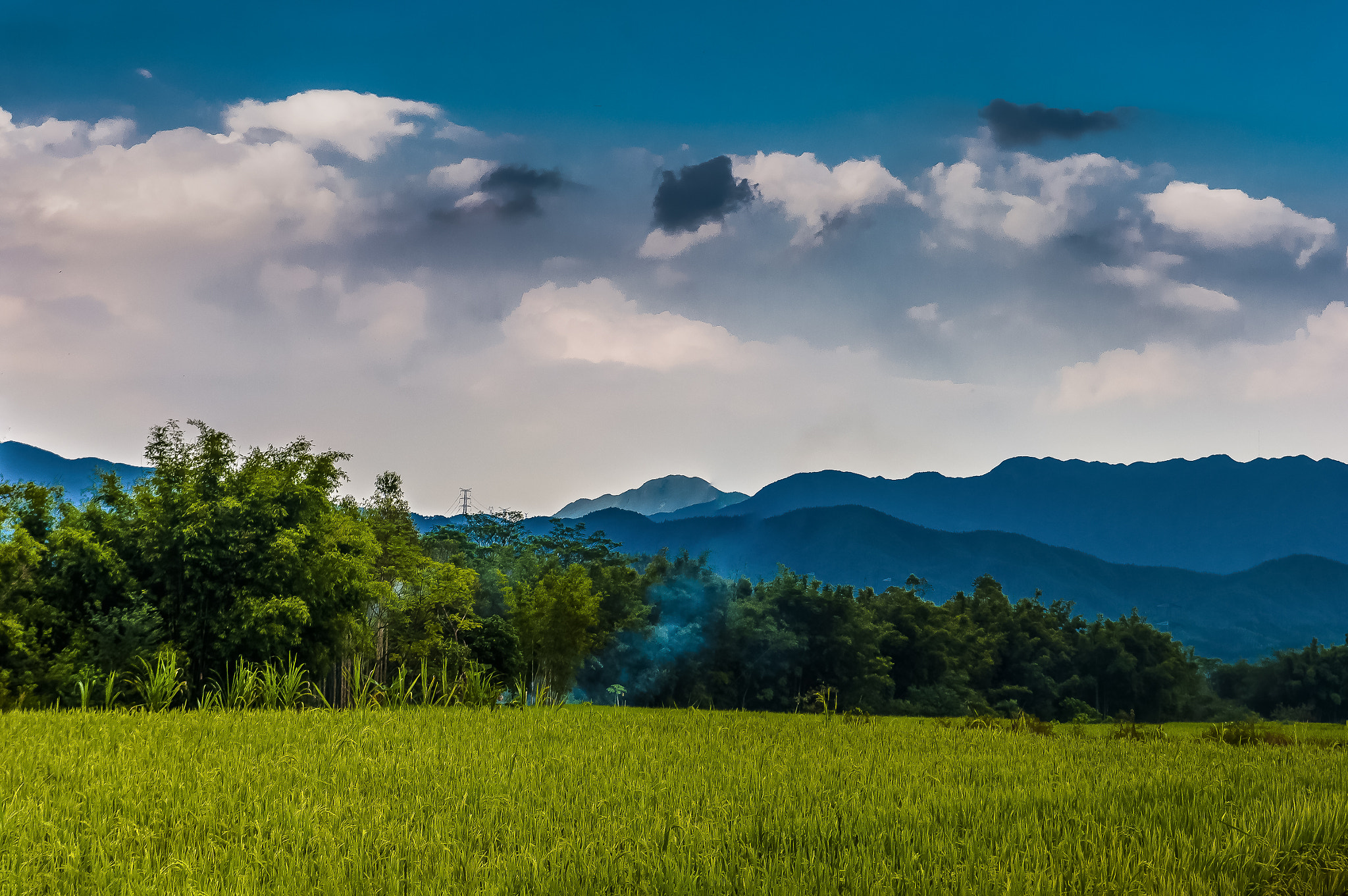 Nikon D300S sample photo. Field photography