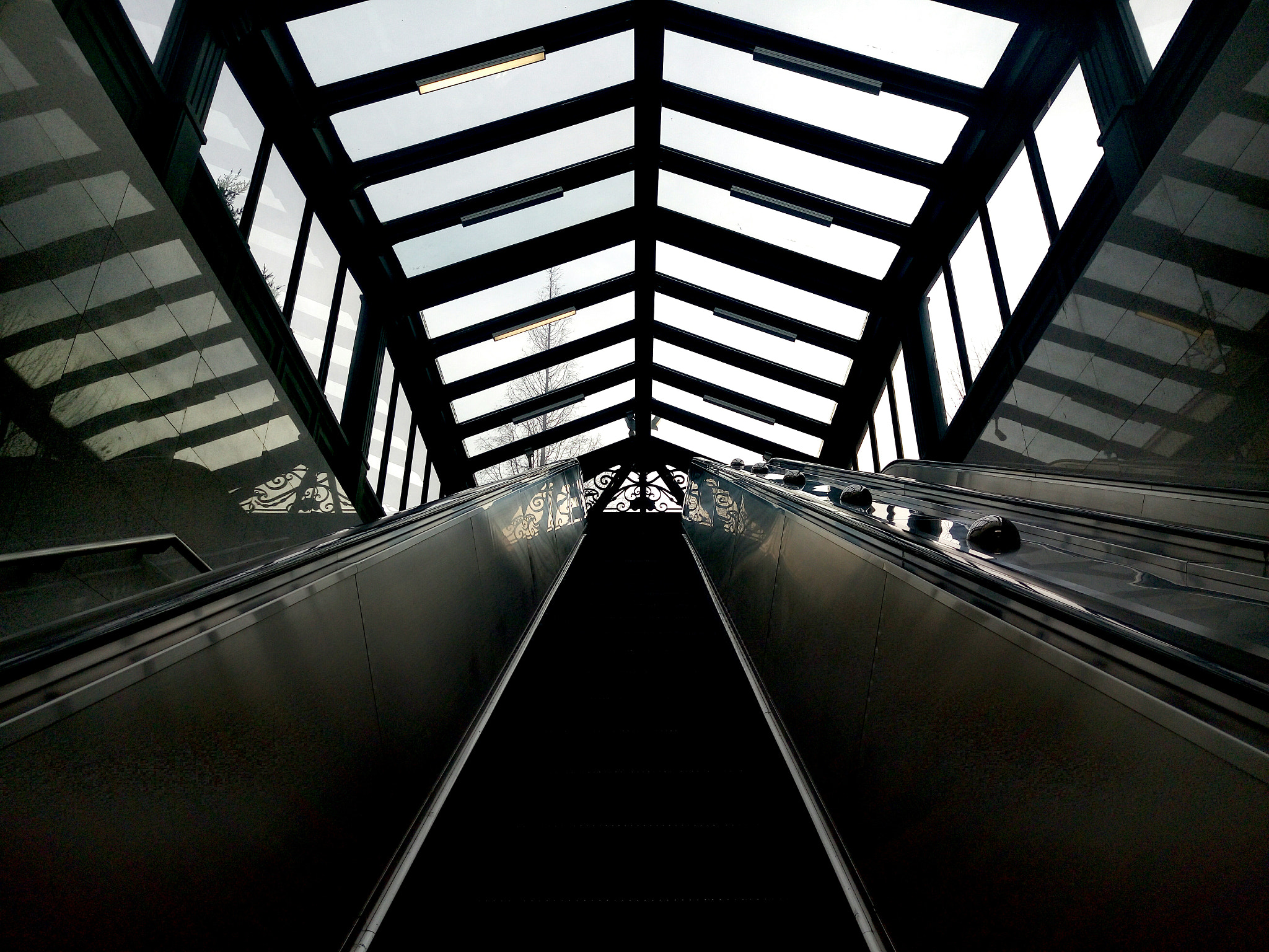 Meizu MX5 sample photo. . photography