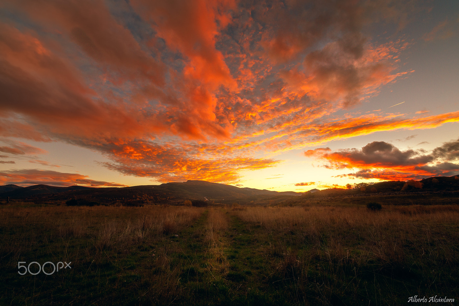 Canon EOS 5DS R sample photo. Babia photography