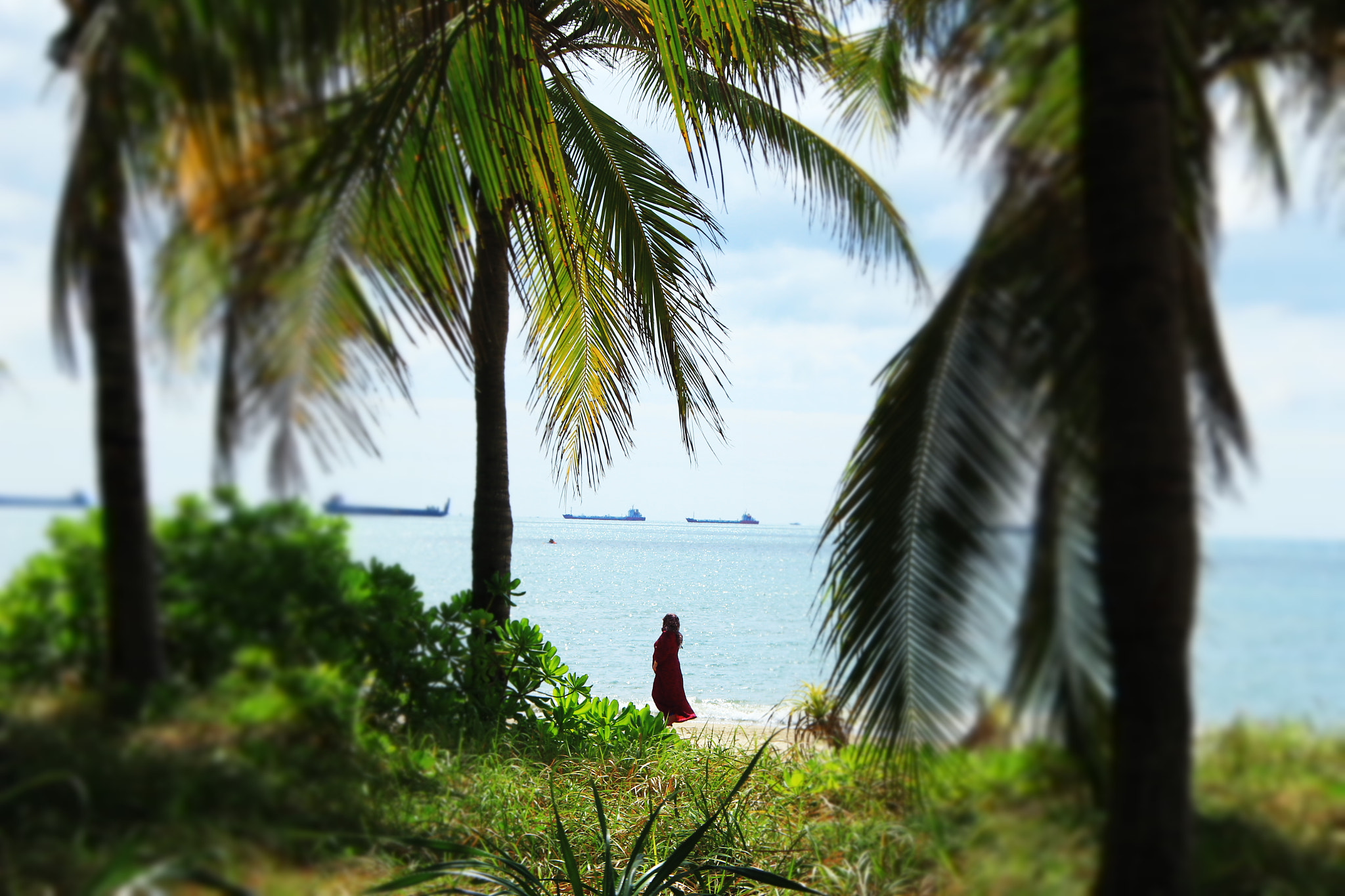 Canon EOS 60D + Sigma 18-200mm f/3.5-6.3 DC OS HSM [II] sample photo. Red lady（sanya bay,china） photography
