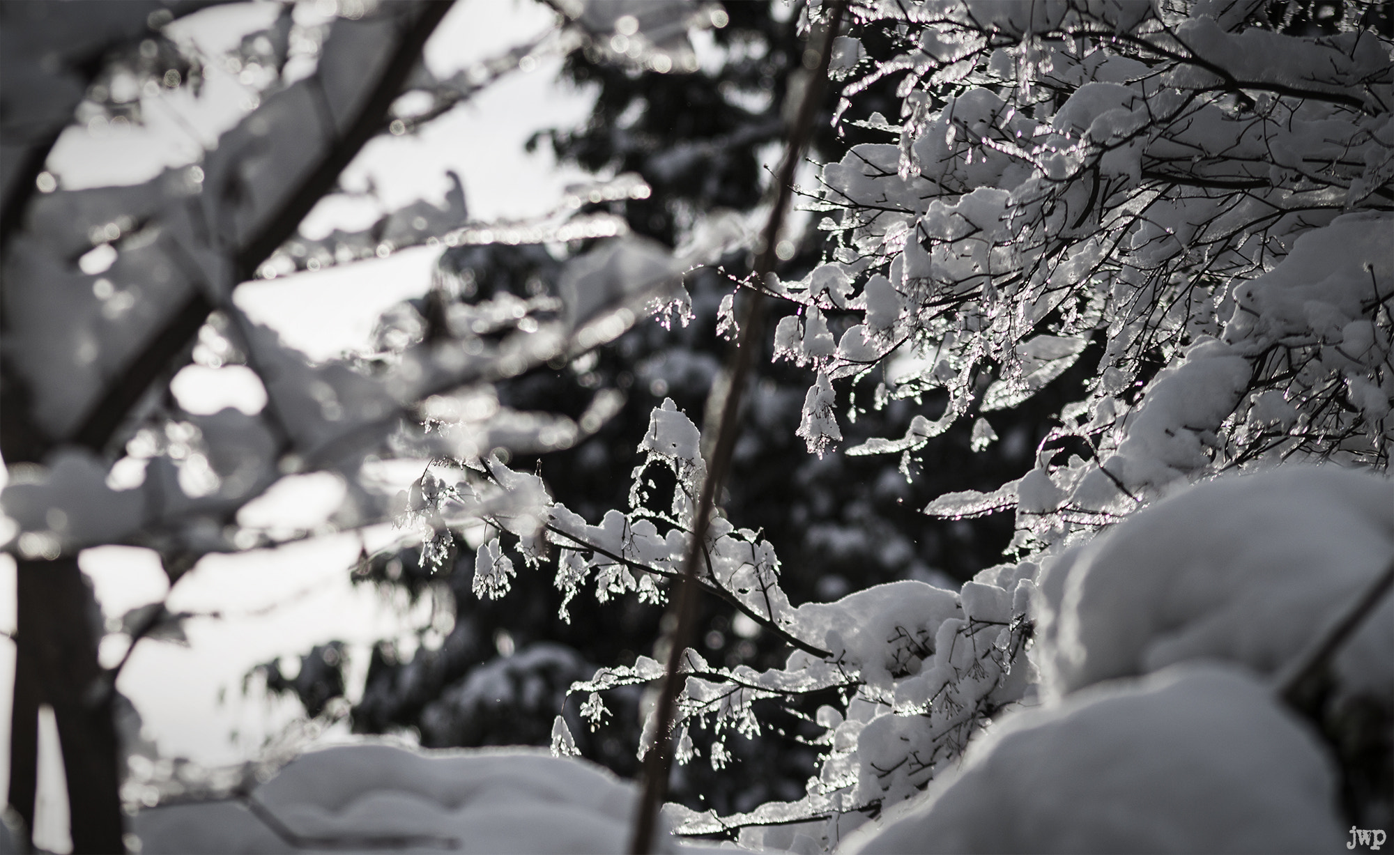 Pentax K-30 sample photo. Cold morning photography