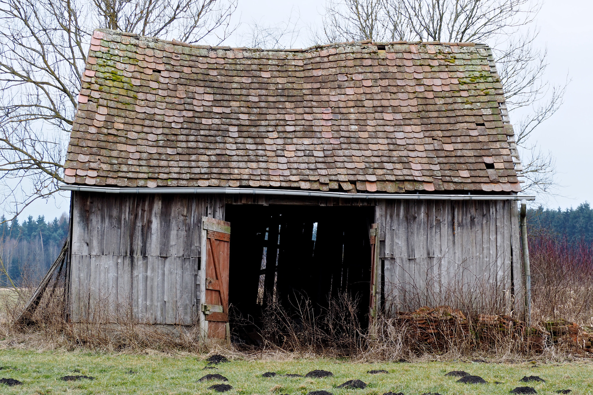 Olympus OM-D E-M5 II sample photo. Barn door is open photography