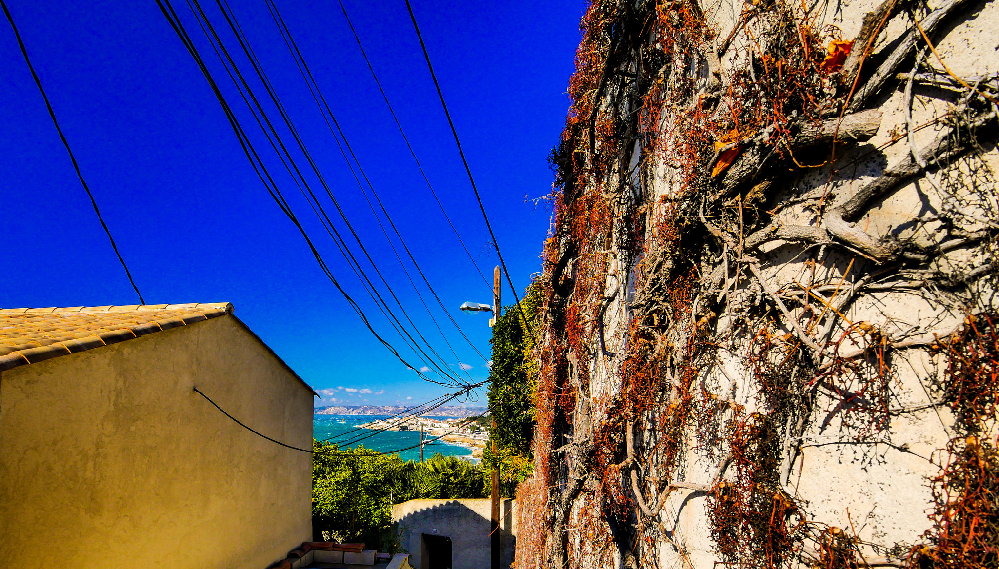 Panasonic Lumix DMC-GX85 (Lumix DMC-GX80 / Lumix DMC-GX7 Mark II) + OLYMPUS M.9-18mm F4.0-5.6 sample photo