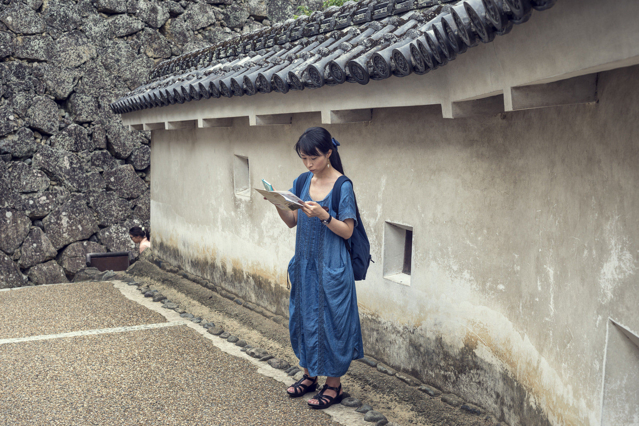 Nikon D610 + AF Nikkor 50mm f/1.8 sample photo. Castillo de himeji photography