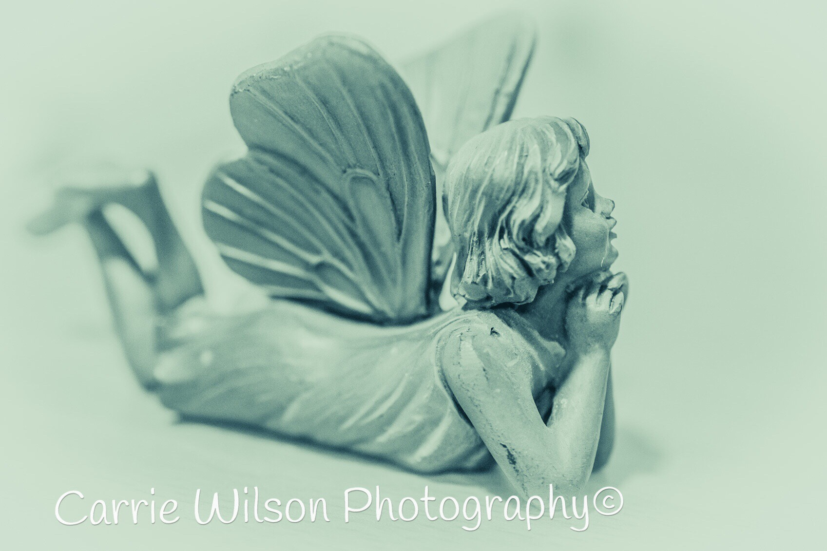 Nikon AF-S DX Micro Nikkor 40mm F2.8 sample photo. Angelic photography