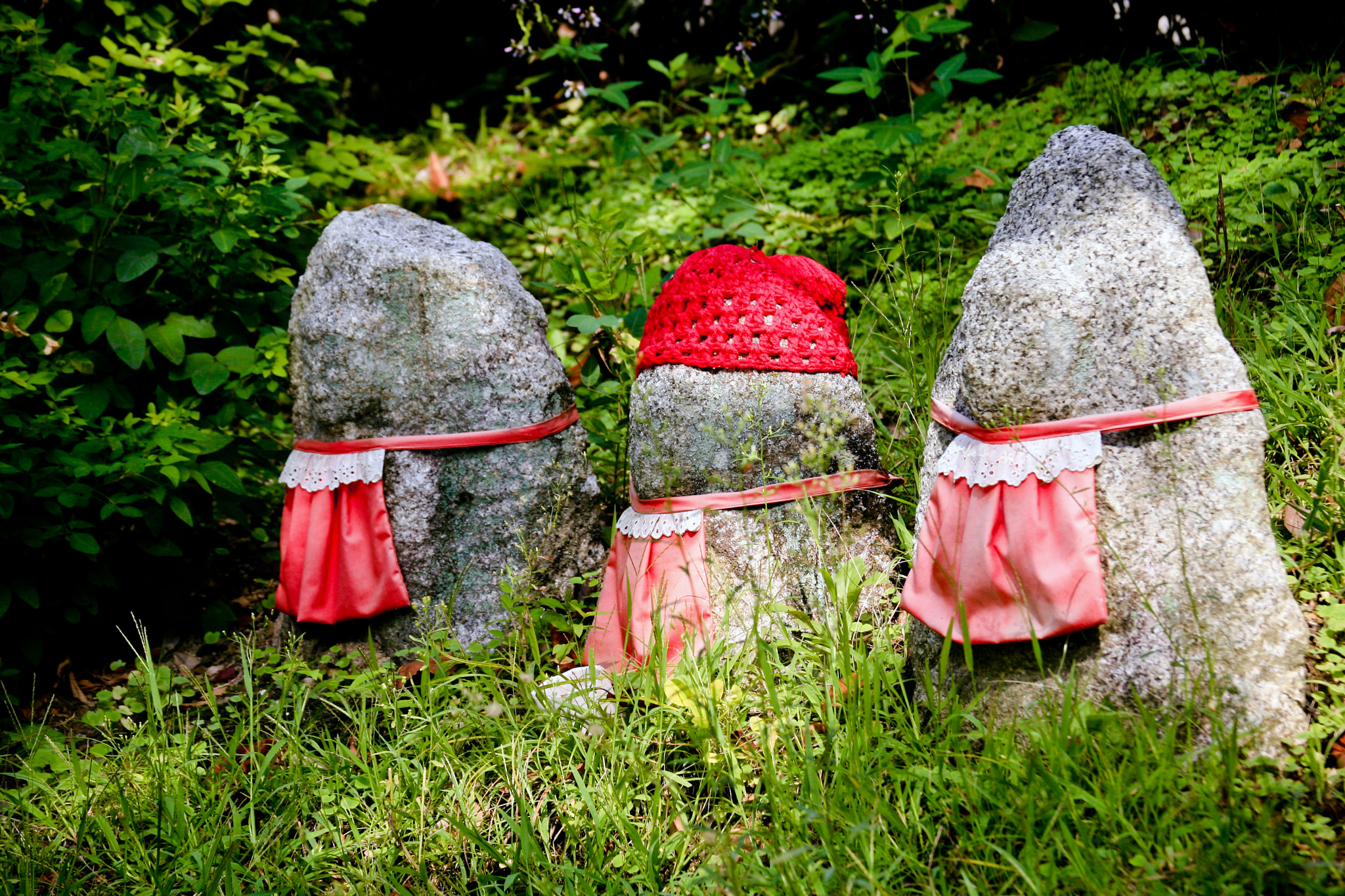 Canon EF 28-135mm F3.5-5.6 IS USM sample photo. Guardians photography