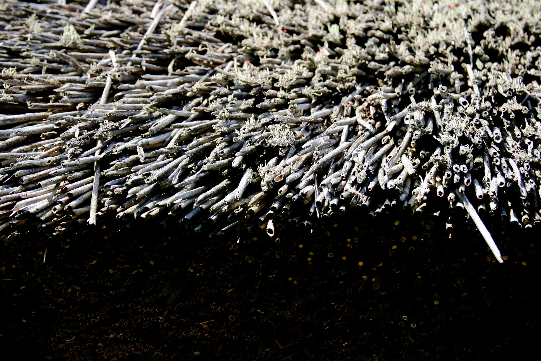 Canon EF 28-135mm F3.5-5.6 IS USM sample photo. Thatched photography