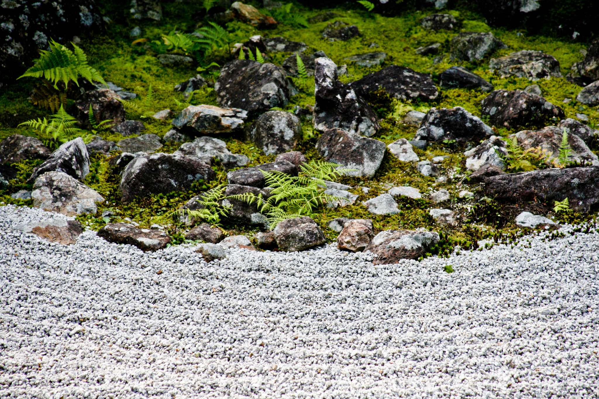 Canon EF 28-135mm F3.5-5.6 IS USM sample photo. Take me to your paradise photography