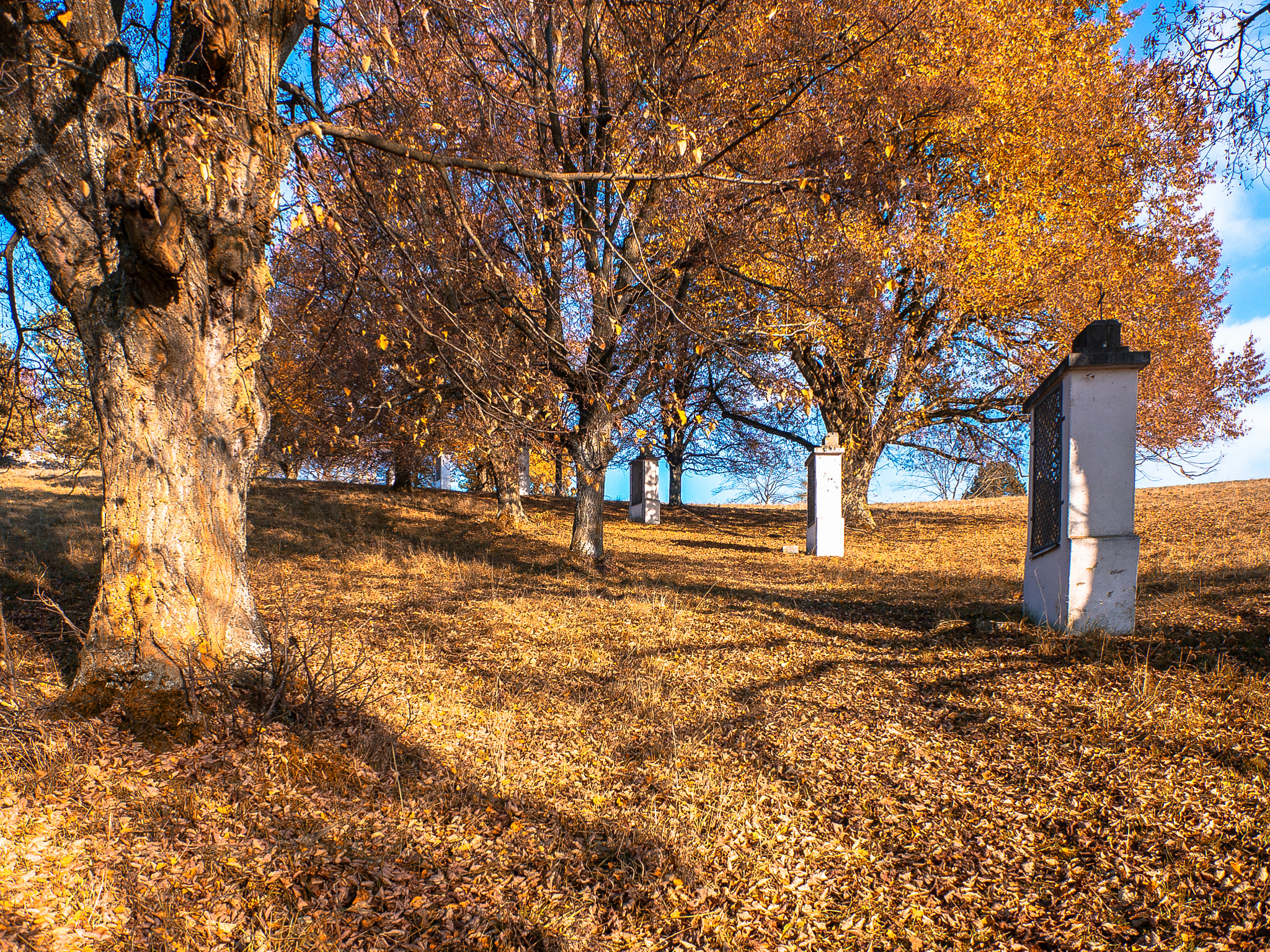 Panasonic Lumix DMC-G5 sample photo. Kreuzweg im herbst photography