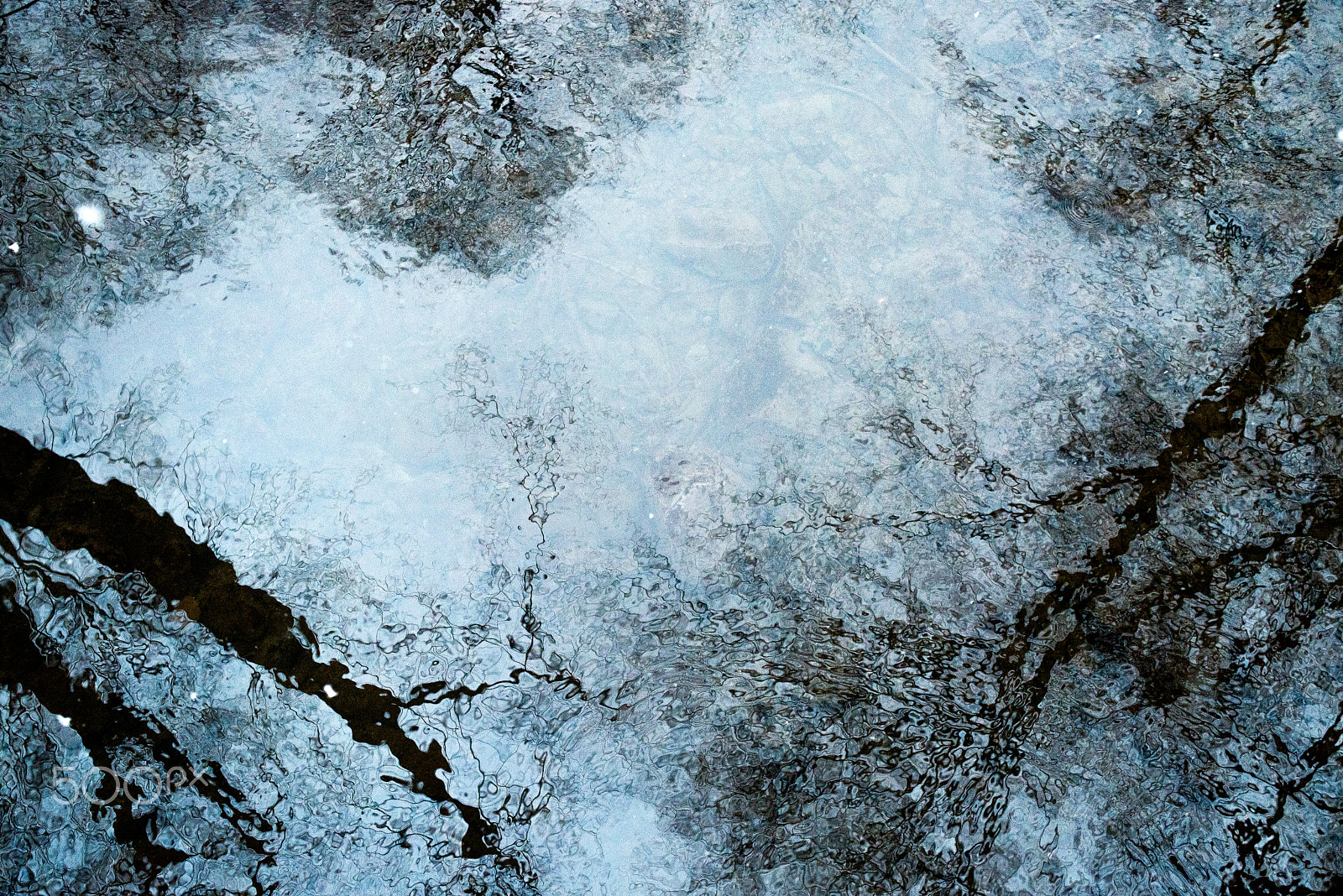 Nikon AF Nikkor 35mm F2D sample photo. Snowflakes in water photography