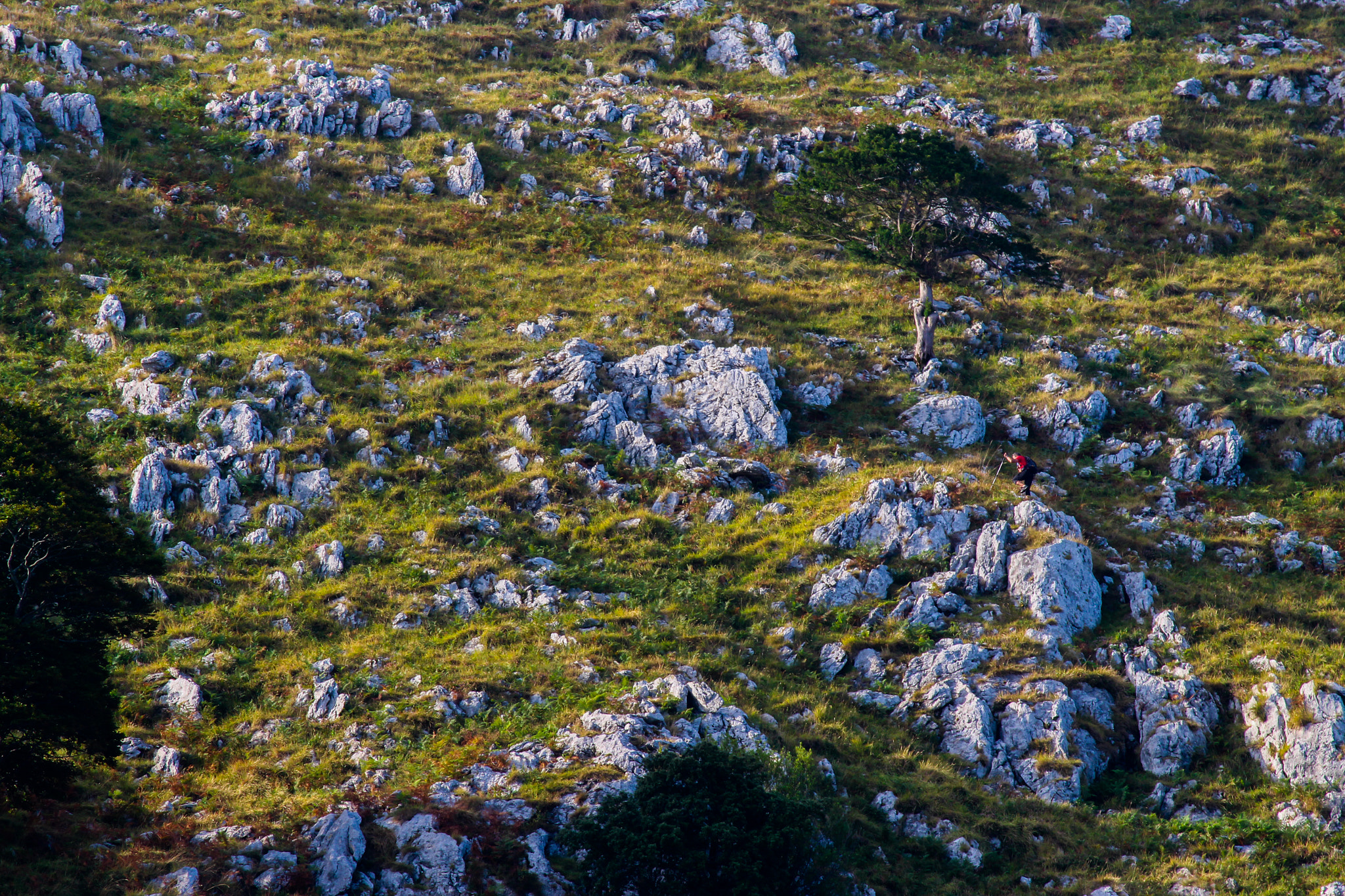 Canon EF-S 55-250mm F4-5.6 IS II sample photo. Climbing "ant man" photography