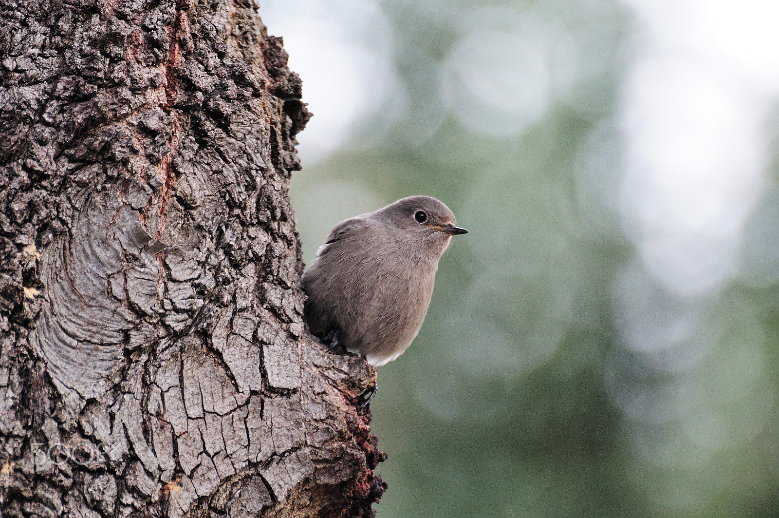 Nikon D5000 sample photo. Hey there! photography