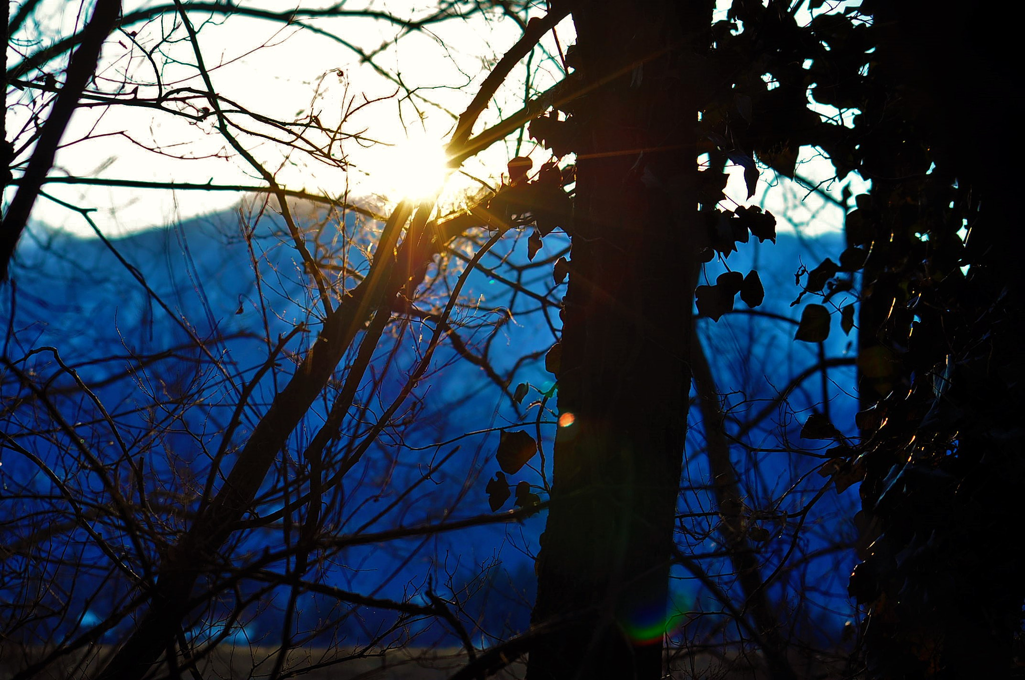 Sigma 70-300mm F4-5.6 APO Macro Super II sample photo. () photography