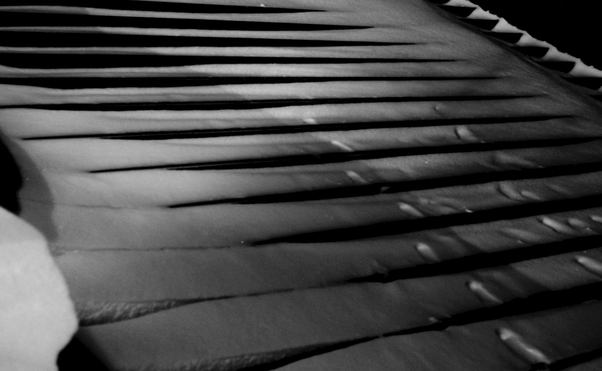 Sony SLT-A37 + Sony 28mm F2.8 sample photo. White steps photography