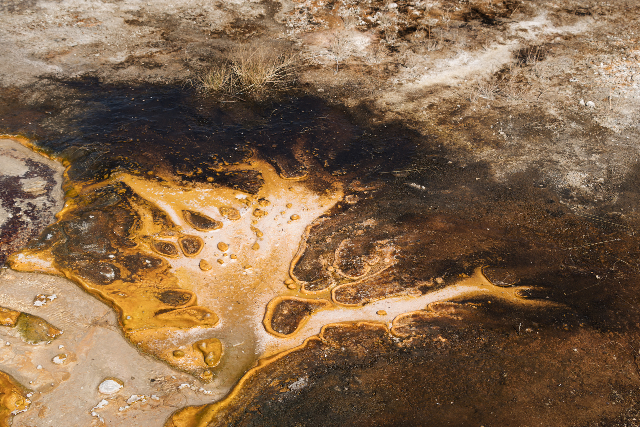 Pentax smc DA* 60-250mm F4.0 ED (IF) SDM sample photo. Mineral abstract ii photography