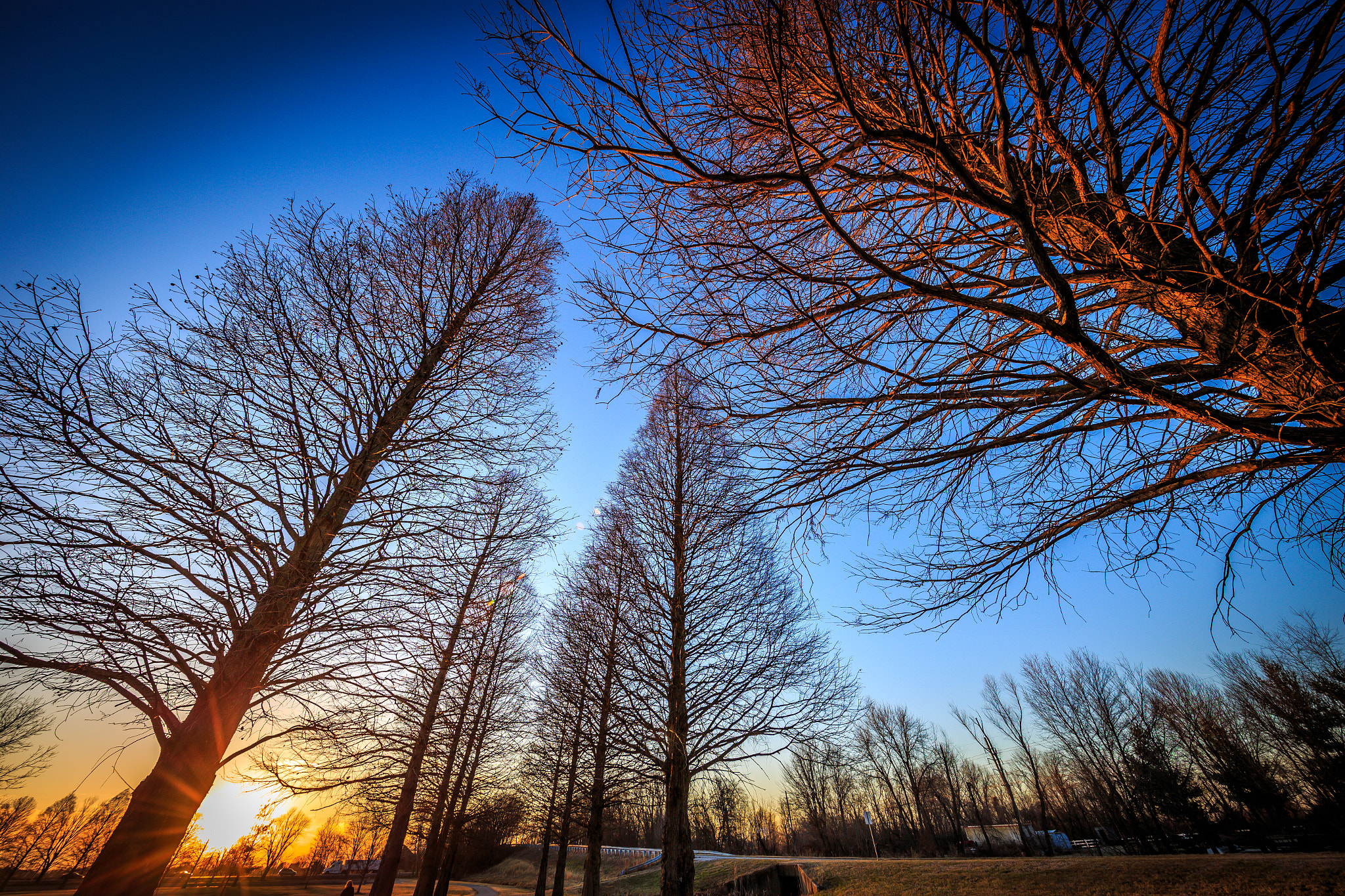 Canon EOS 6D + Canon EF 11-24mm F4L USM sample photo