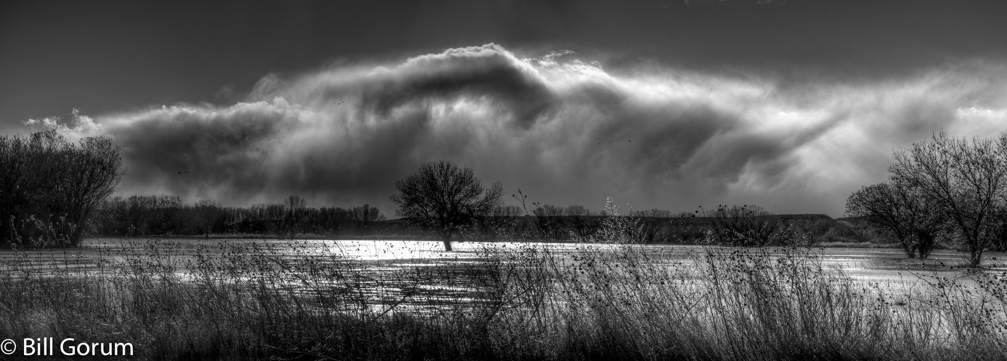 Nikon D500 sample photo. Stormy day over the marsh photography