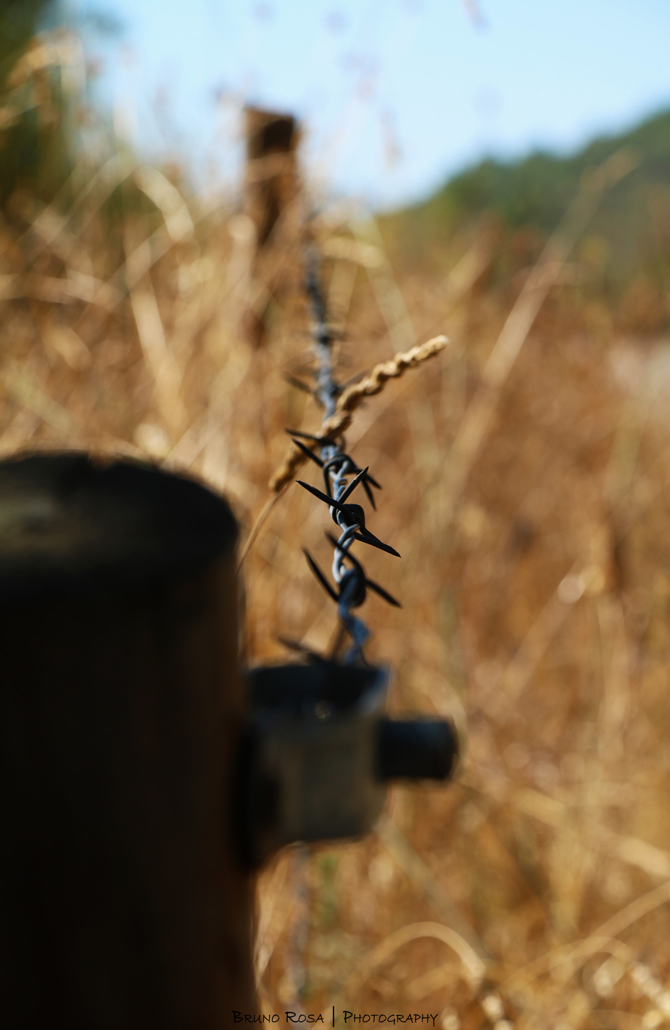 Canon EOS 760D (EOS Rebel T6s / EOS 8000D) sample photo. Barbed wire photography