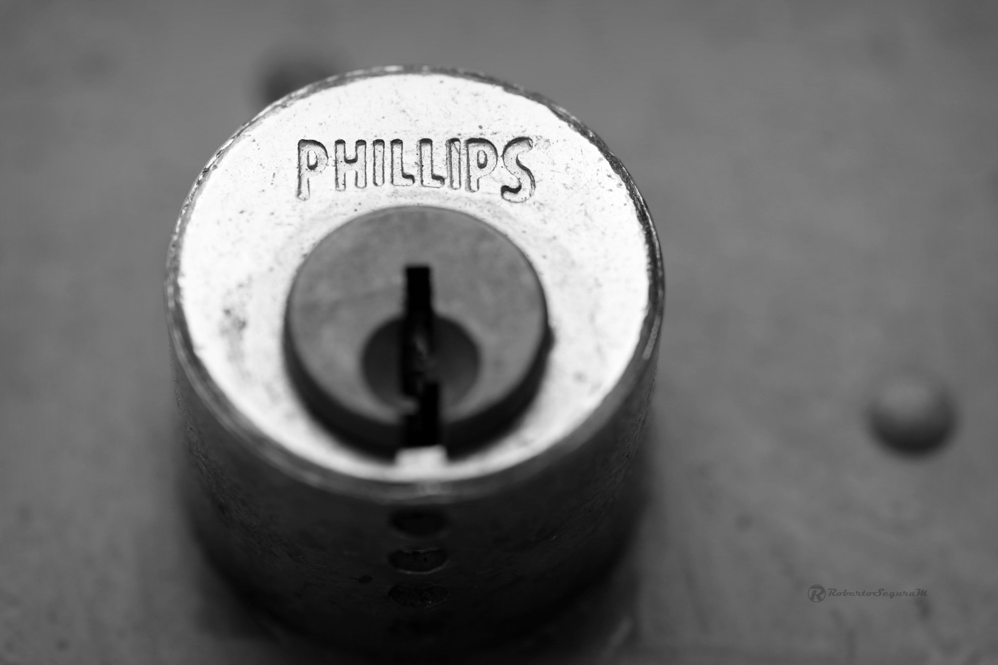 Pentax smc D-FA 100mm F2.8 Macro WR sample photo. Mr phillips photography