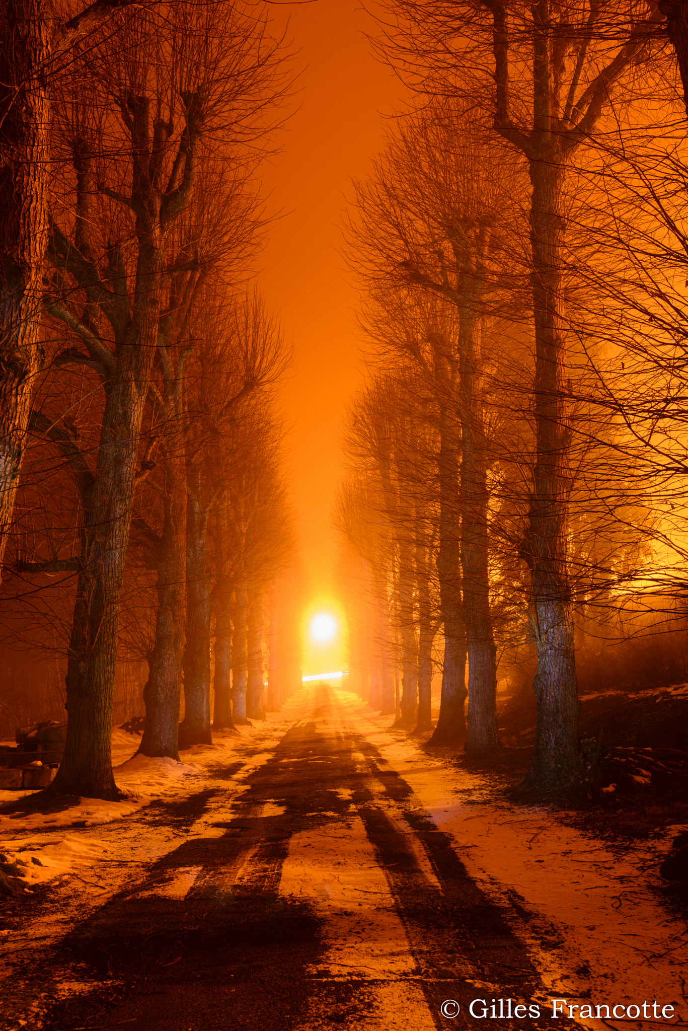 Nikon AF-S Nikkor 24-70mm F2.8E ED VR sample photo. Orange night. photography