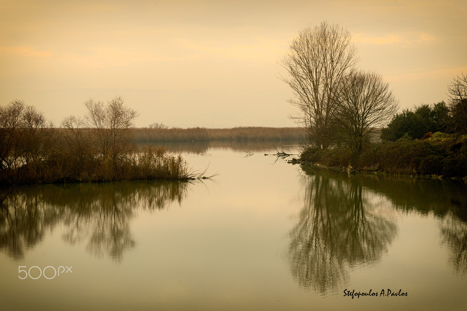 Nikon D3200 + Sigma 28-105mm F2.8-4 Aspherical sample photo. Near the lake vii photography