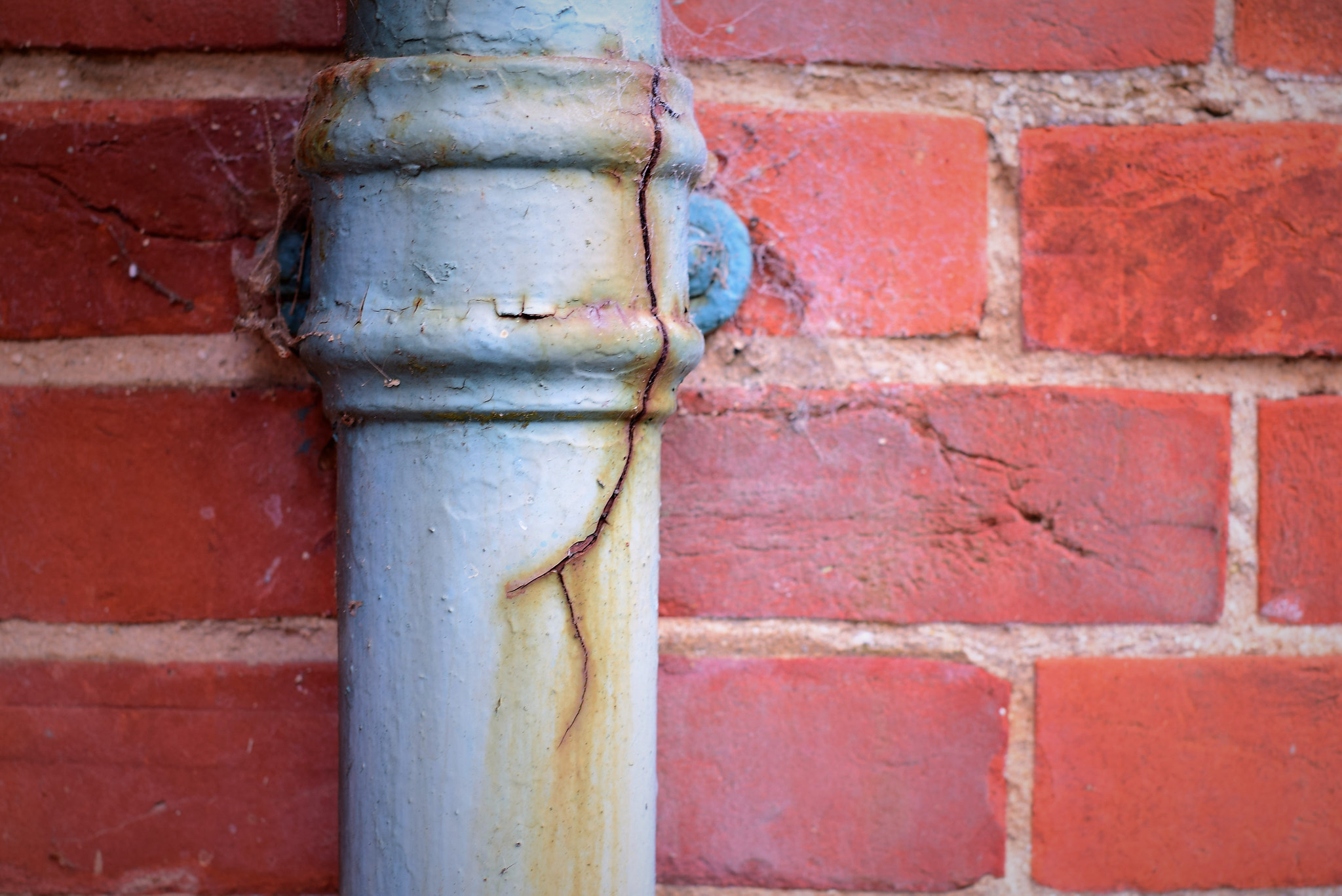 Sigma 50mm F1.4 EX DG HSM sample photo. Crack photography
