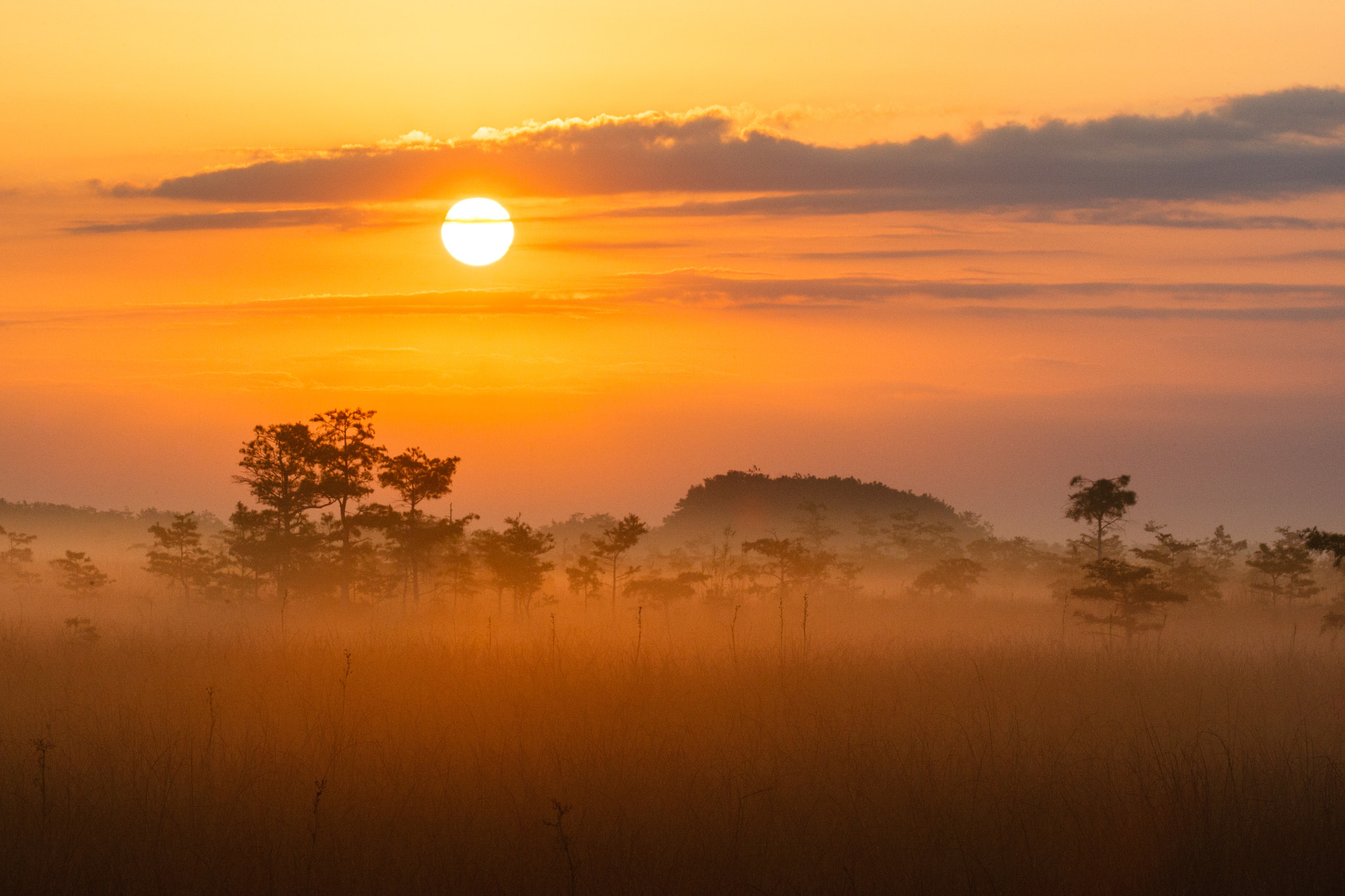 Canon EOS-1D Mark III sample photo. Everglades sunrise photography