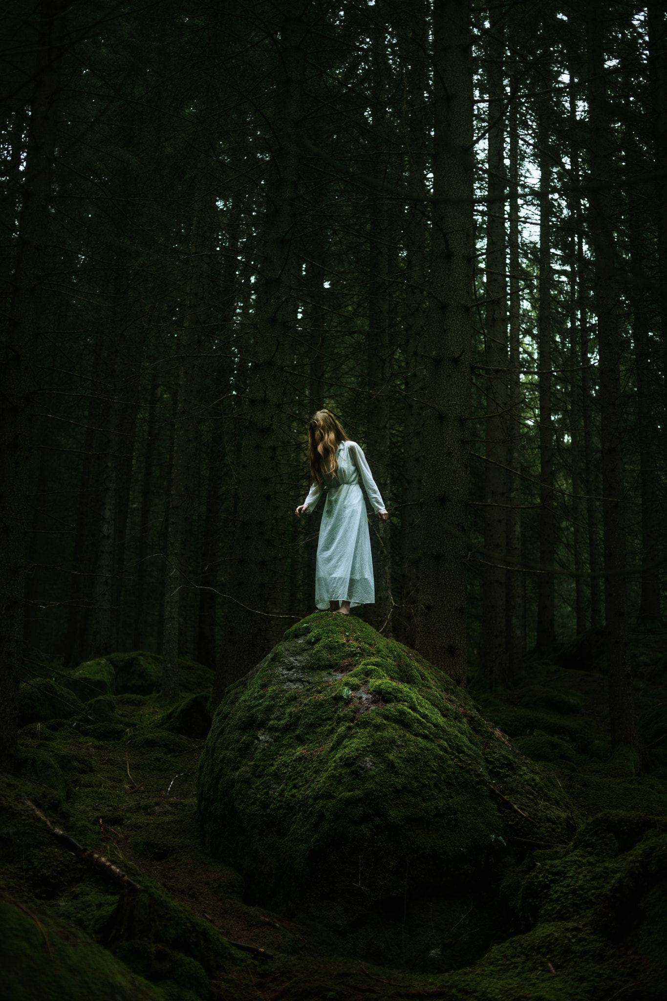 Sony 50mm F1.4 sample photo. Solitude photography