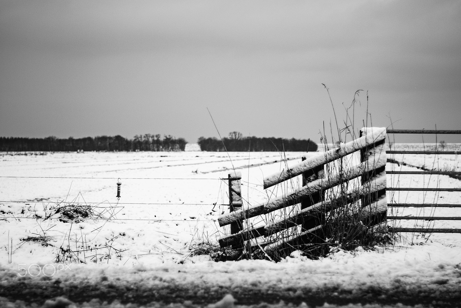 Nikon D3000 sample photo. Beautiful black and white photography