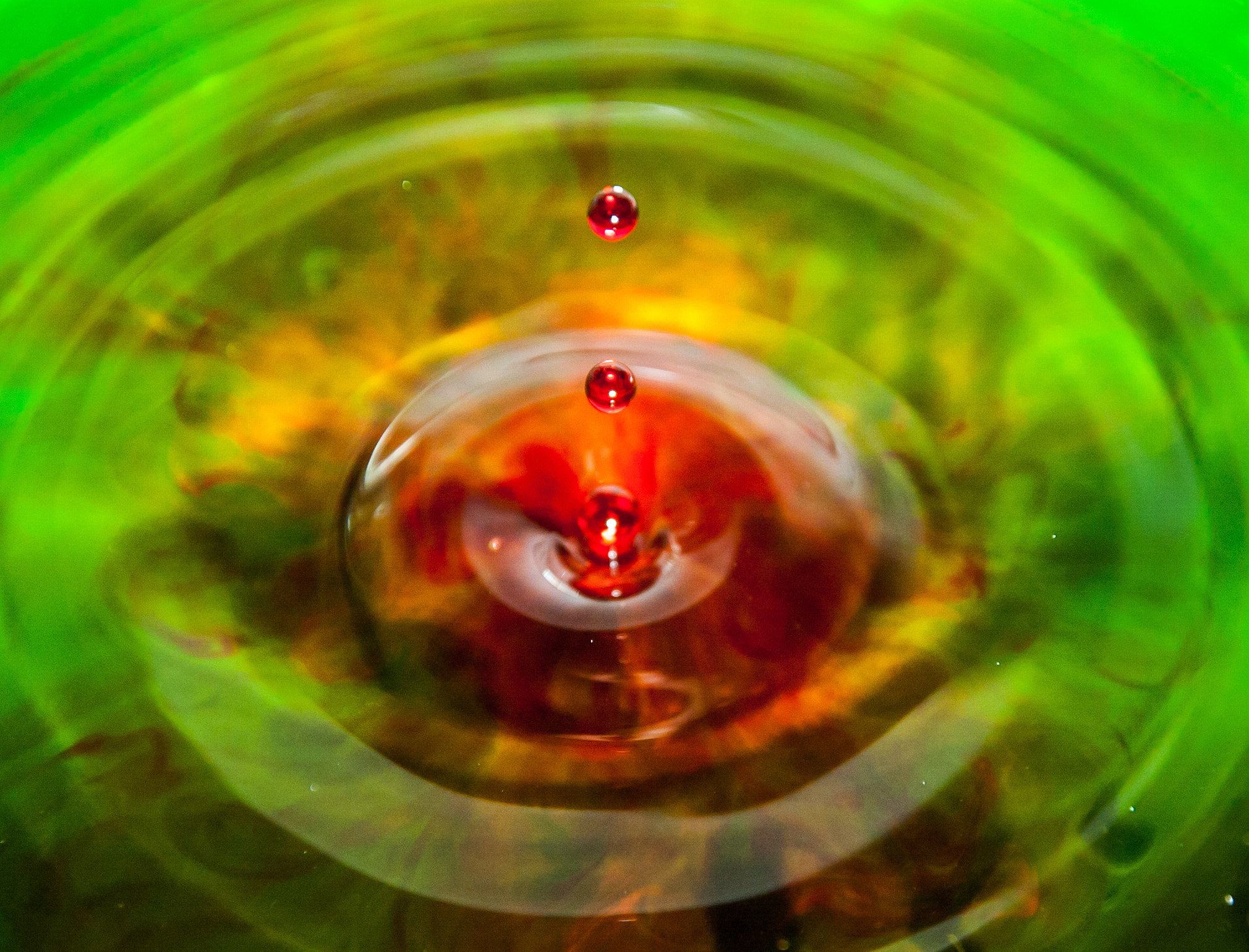 Nikon D50 sample photo. Drops of colour photography